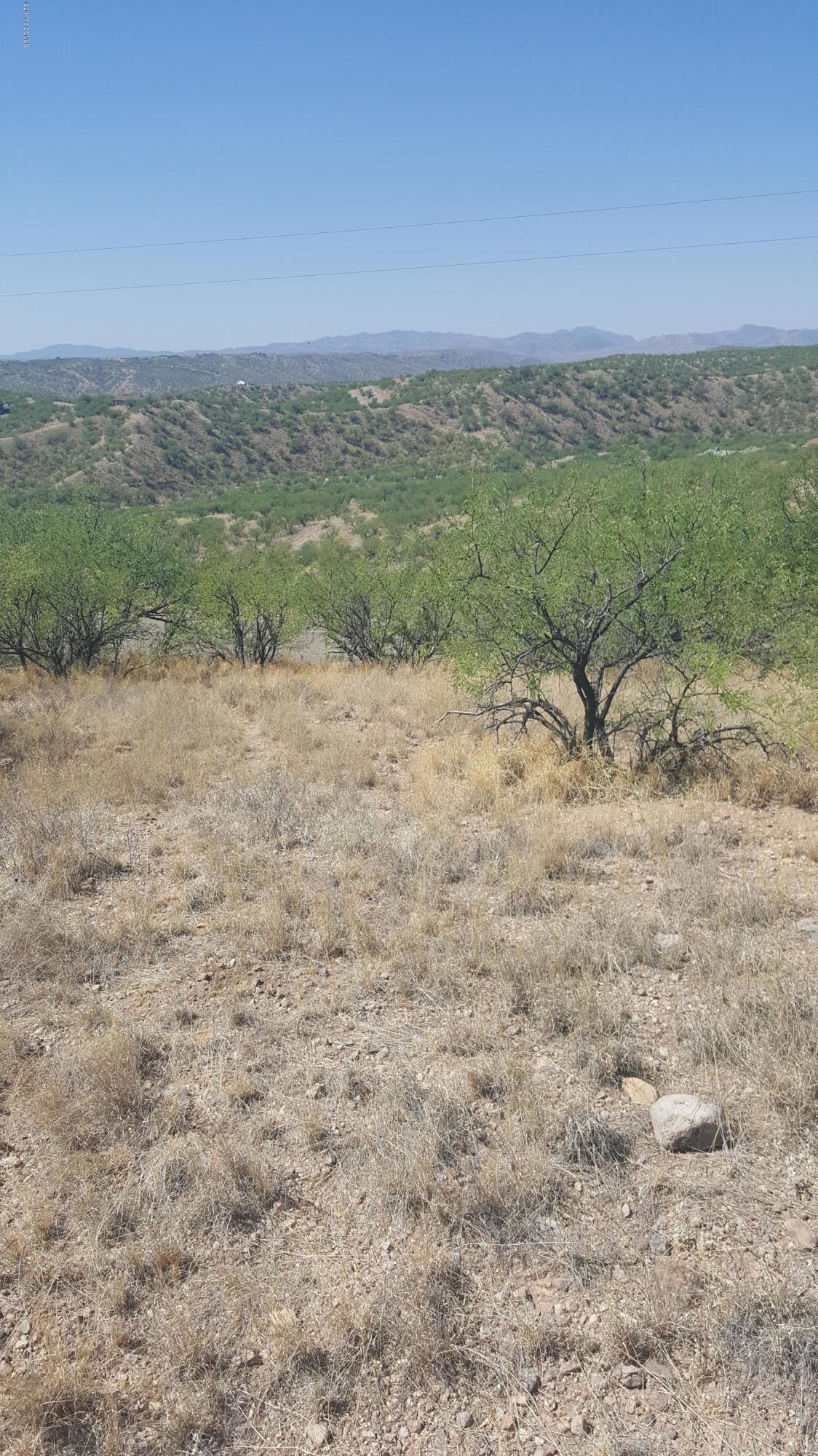 Rio Rico Estates 9 - Land