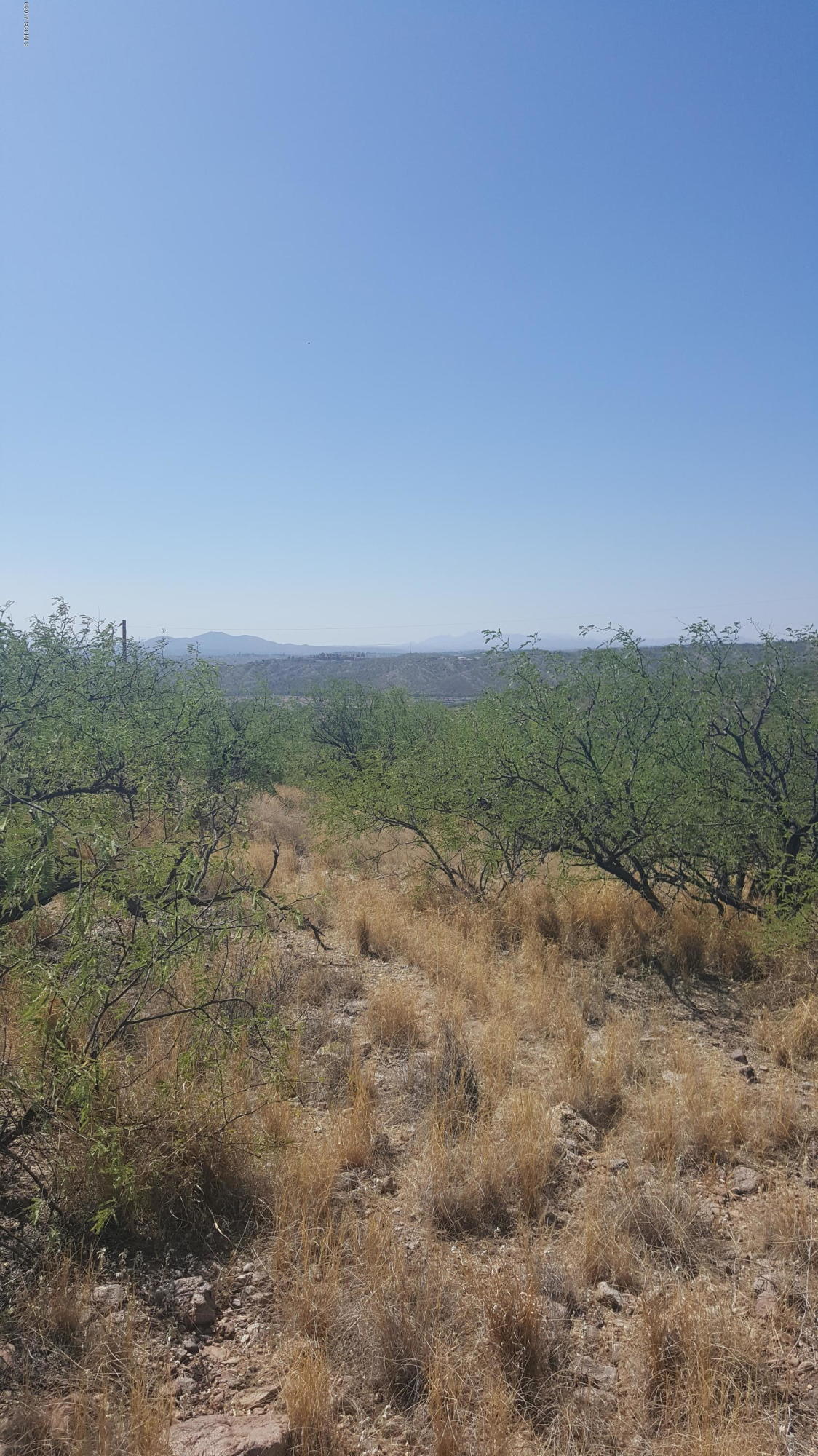 Rio Rico Estates 9 - Land