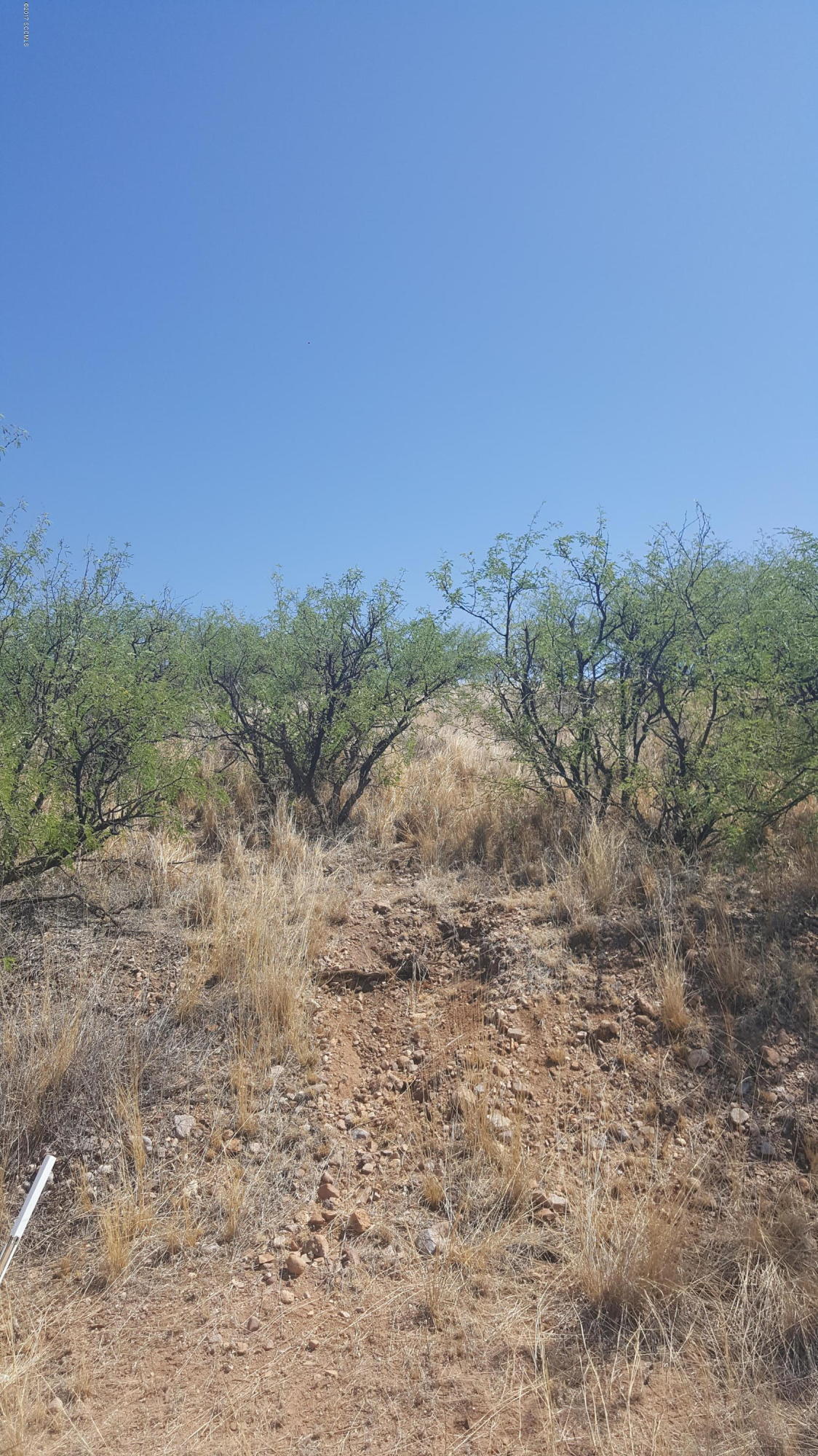 Rio Rico Estates 9 - Land