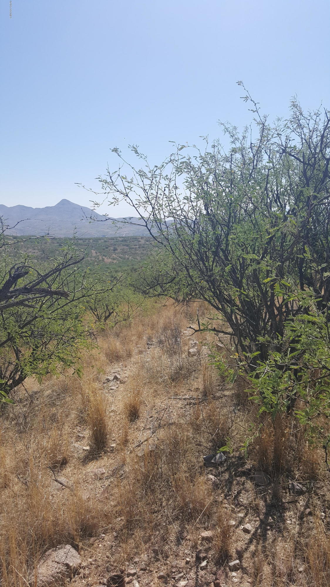 Rio Rico Estates 9 - Land