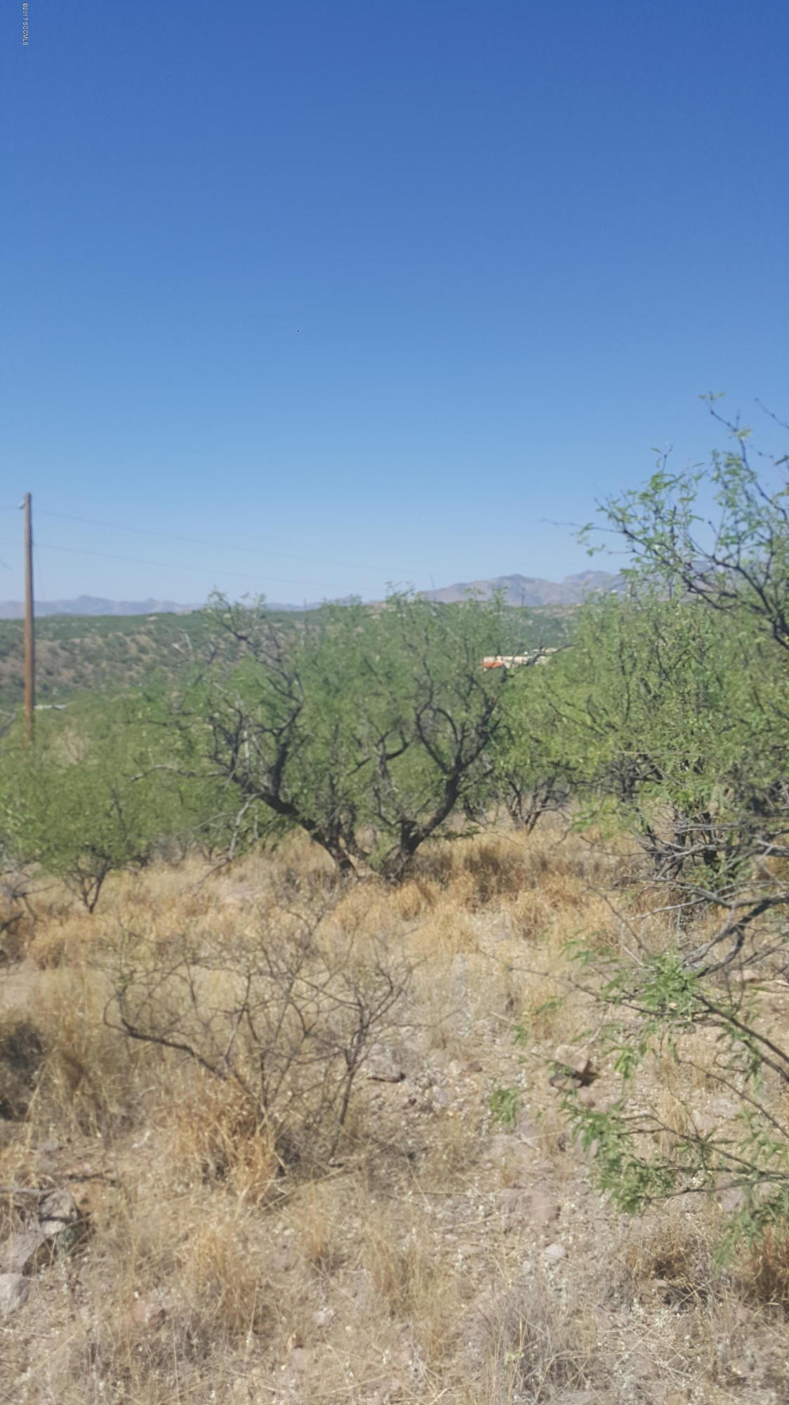Rio Rico Estates 9 - Land