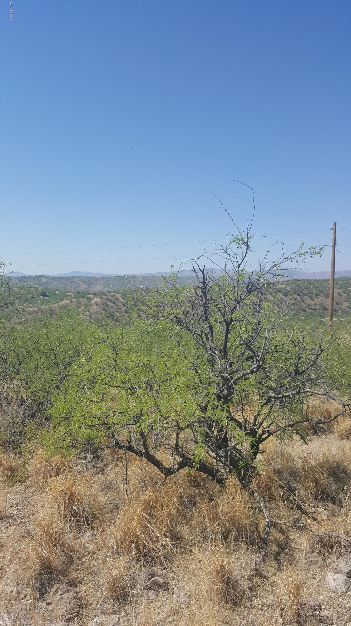 Rio Rico Estates 9 - Land