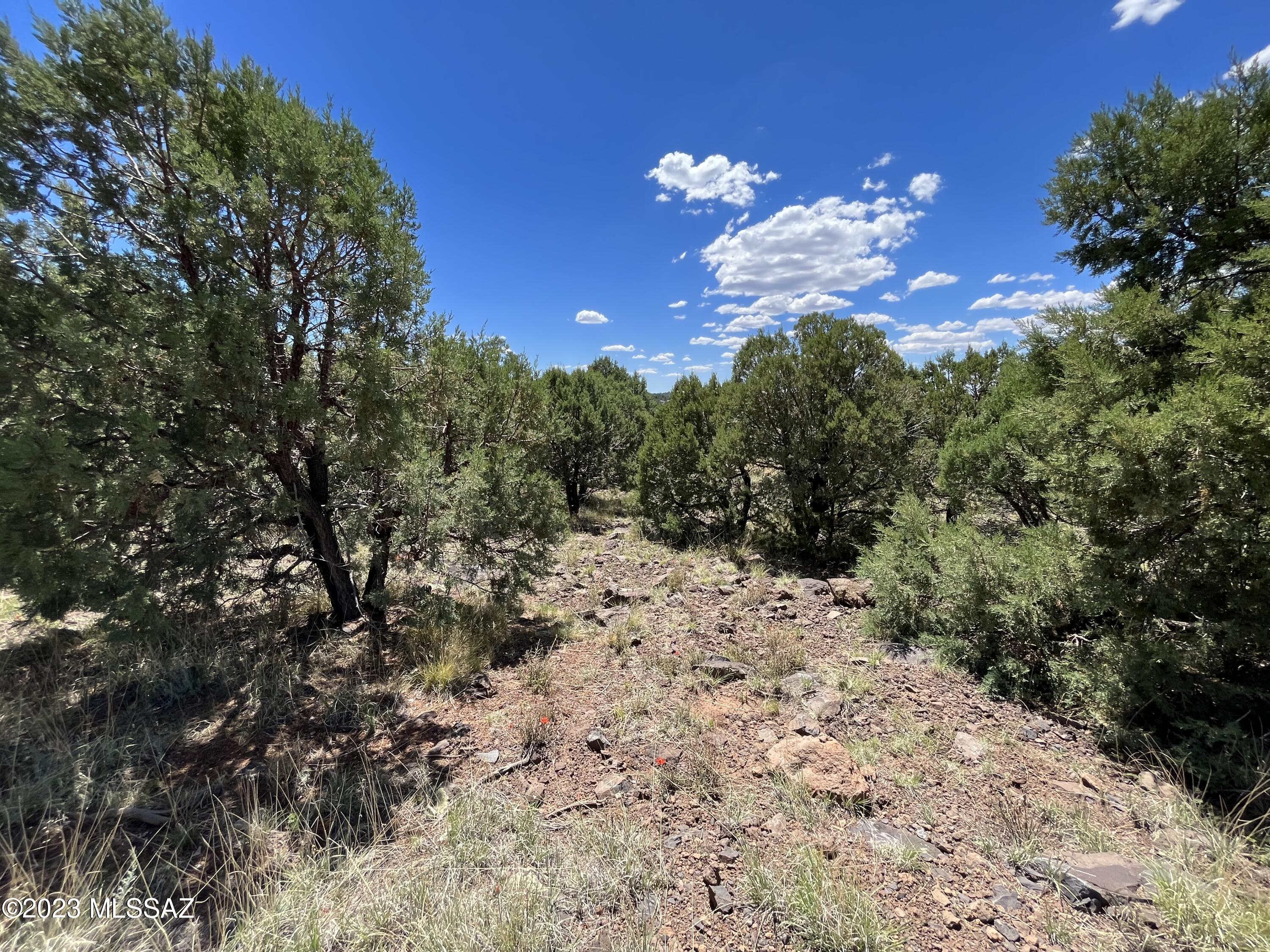 Out Of Pima County - Land