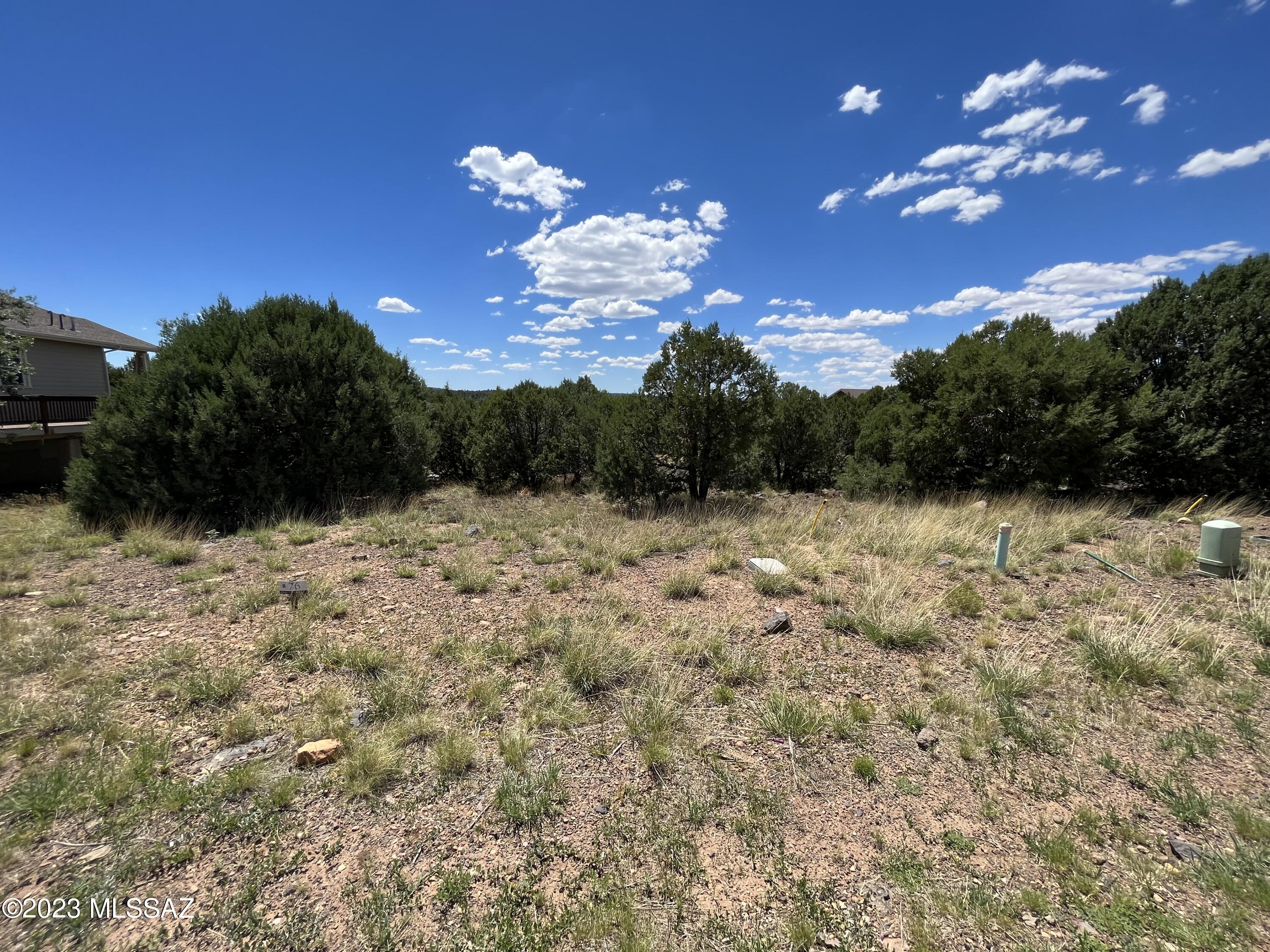 PRICE REDUCED TO OFFSET BALANCE LEFT ON ASSESSMENTS!!! The mountains are calling you to this lot! Let the cool breeze through the trees help you wind down from a long day. Come take a look at this lovely lot that is ready for your dream home to be built, it won't last long! seller and listing agent are related