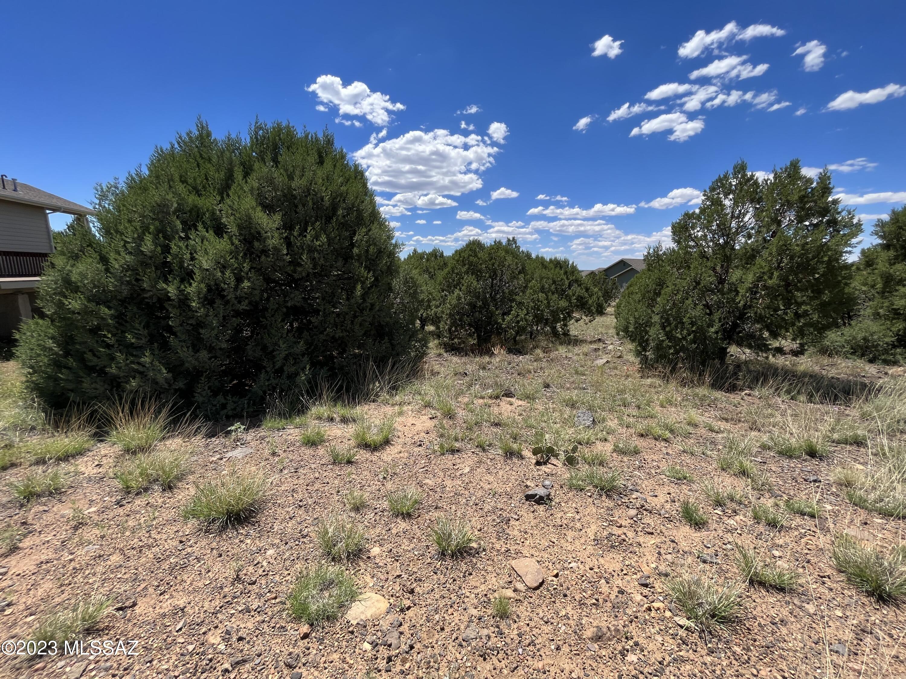 Out Of Pima County - Land