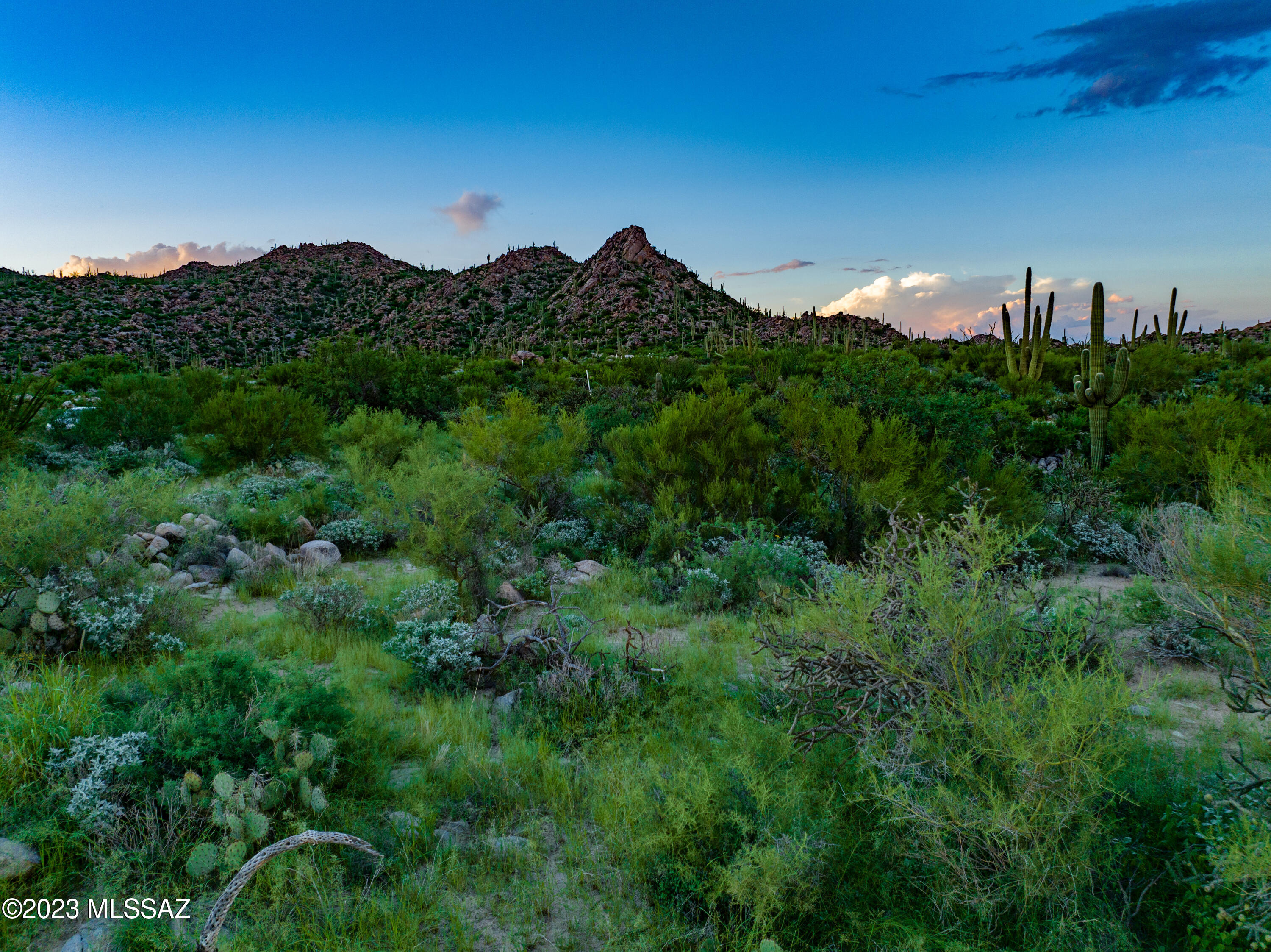 Stone Canyon VII (404-485) - Land