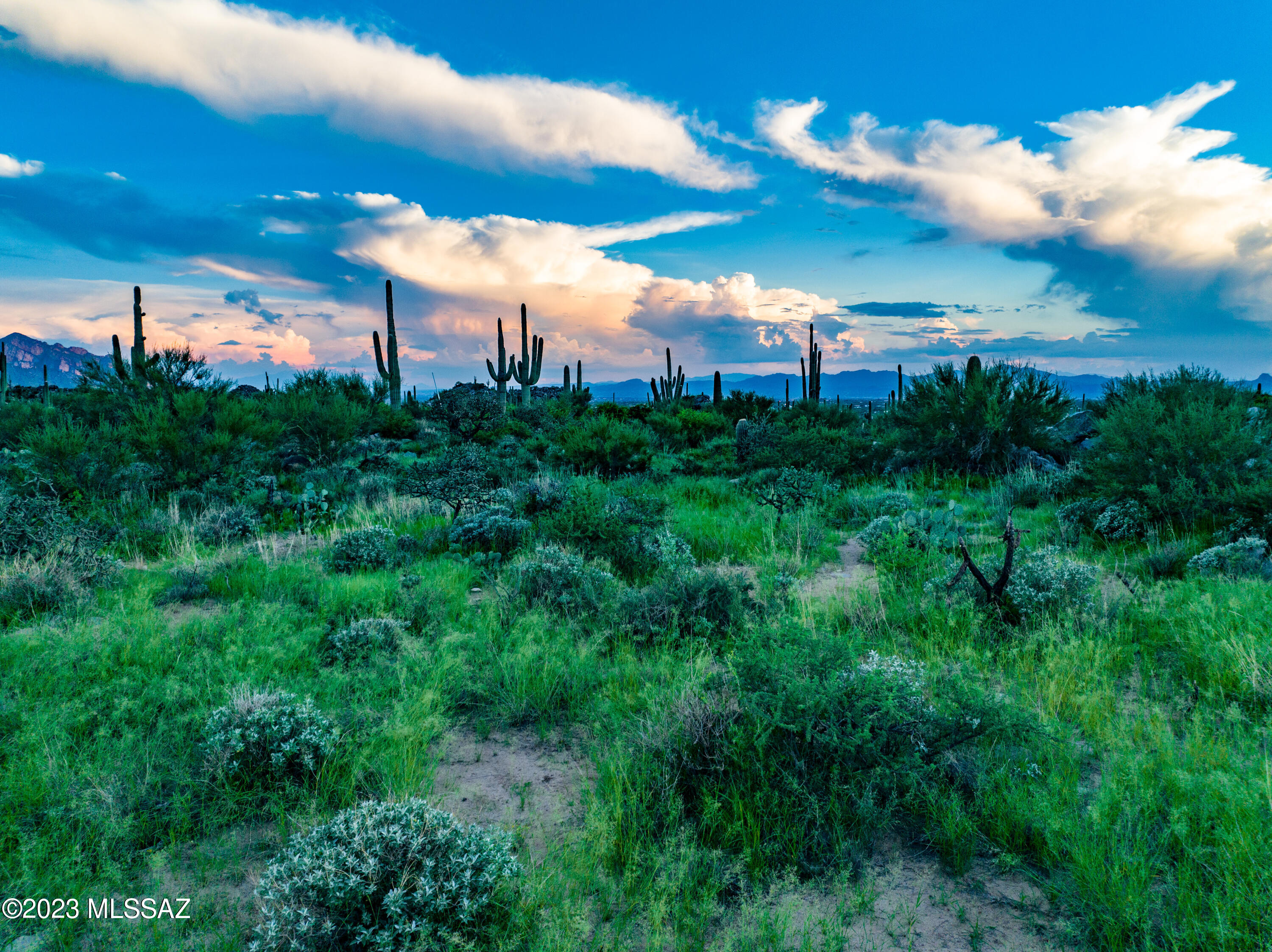 Stone Canyon VII (404-485) - Land