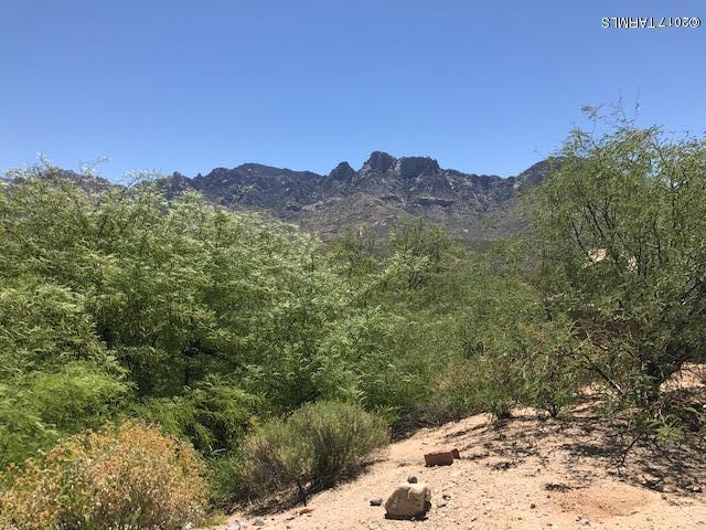 Catalina Shadows Estates Phase 4(302-390) - Land