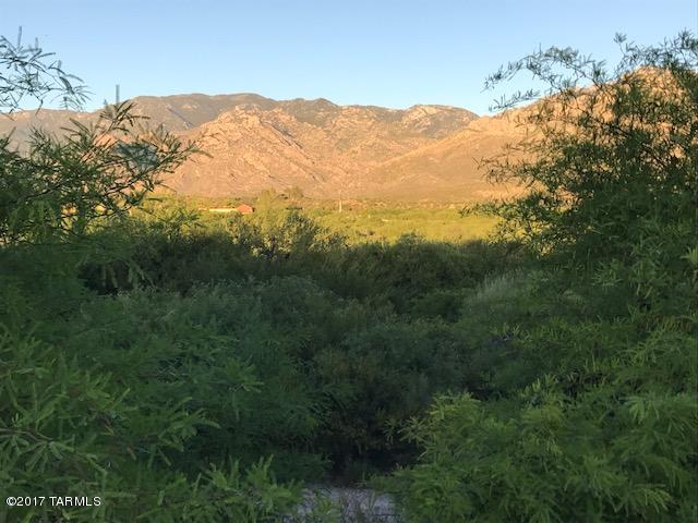 Catalina Shadows Estates Phase 4(302-390) - Land
