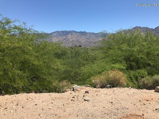 Catalina Shadows Estates Phase 4(302-390) - Land