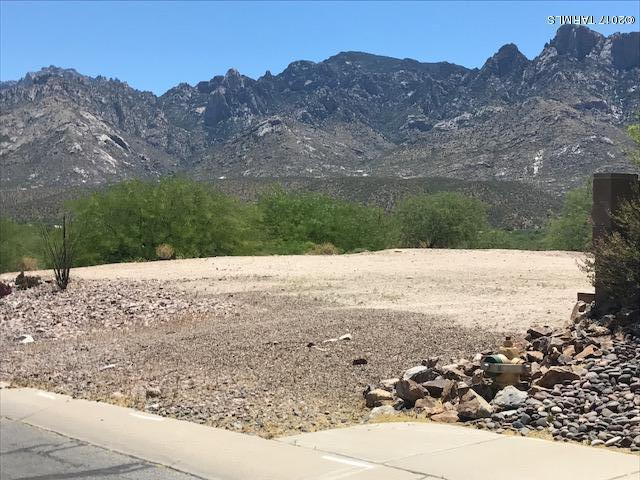 Catalina Shadows Estates Phase 4(302-390) - Land