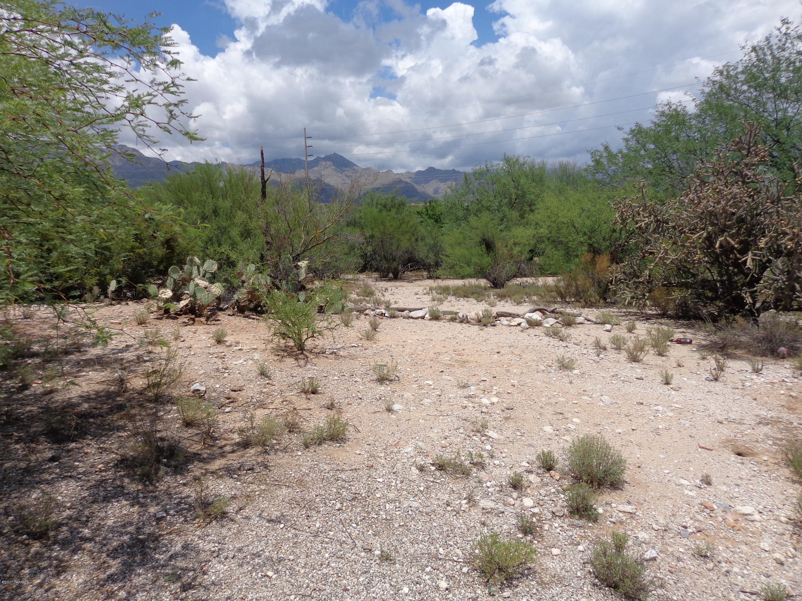 Quail Canyon (100-234) - Residential