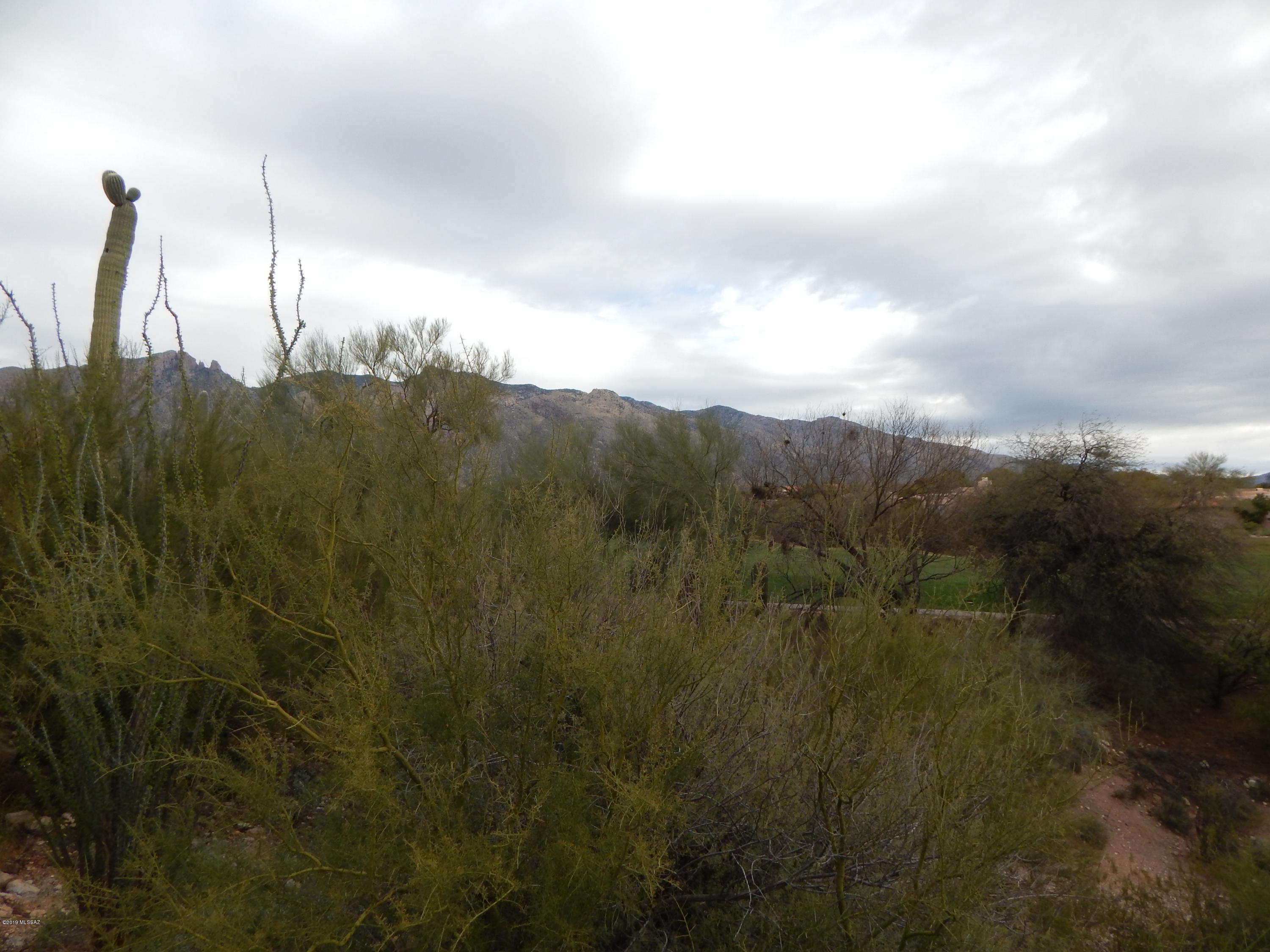 Paloma Ridge (1-54) - Residential Lease