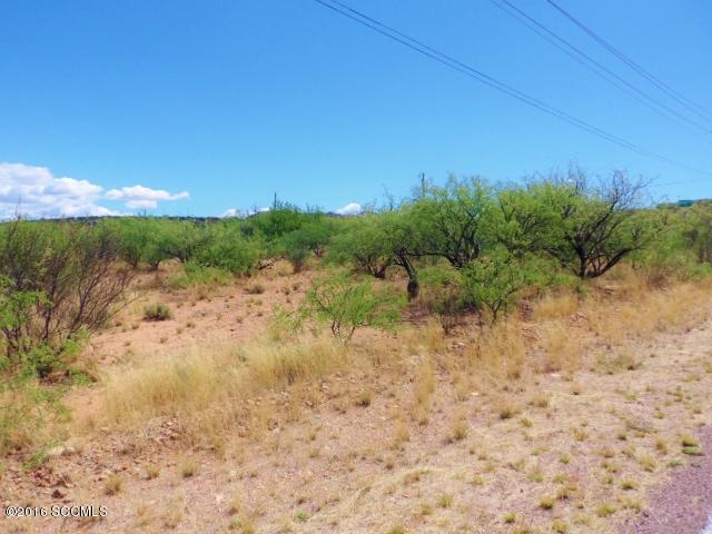 Rio Rico Estates 16 - Land