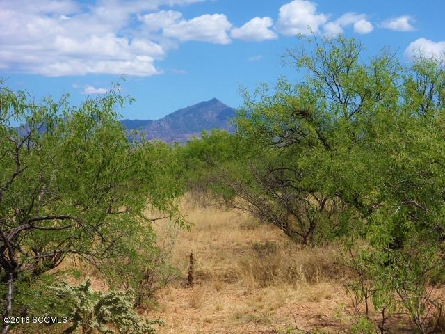 Rio Rico Estates 16 - Land