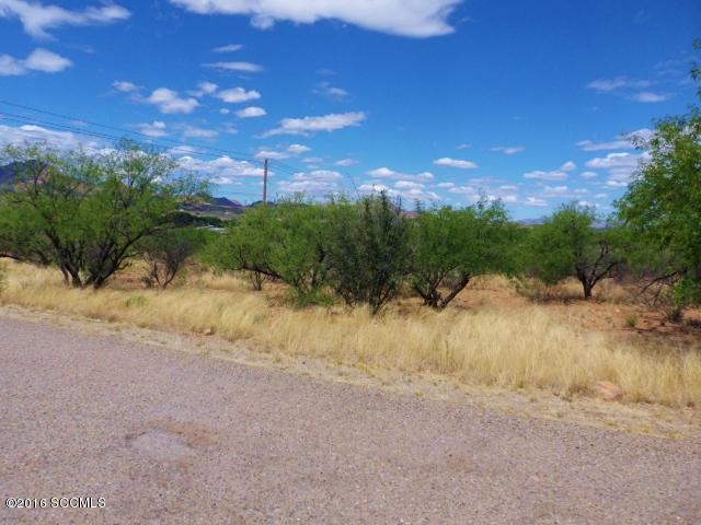 Rio Rico Estates 16 - Land