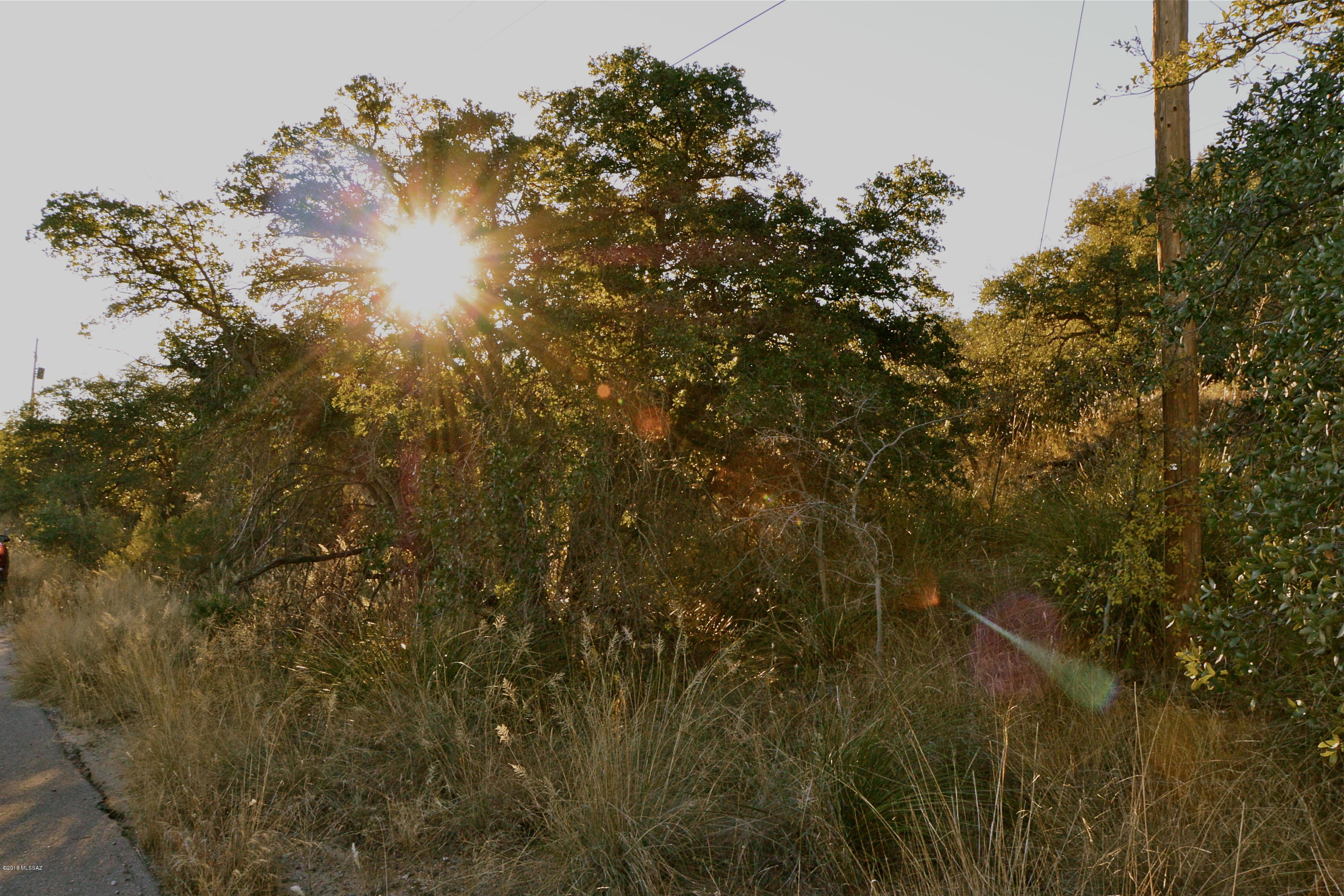 Great lot off of paved road.  With gorgeous views.  Come enjoy the cooler weather and everything Oracle has to offer.