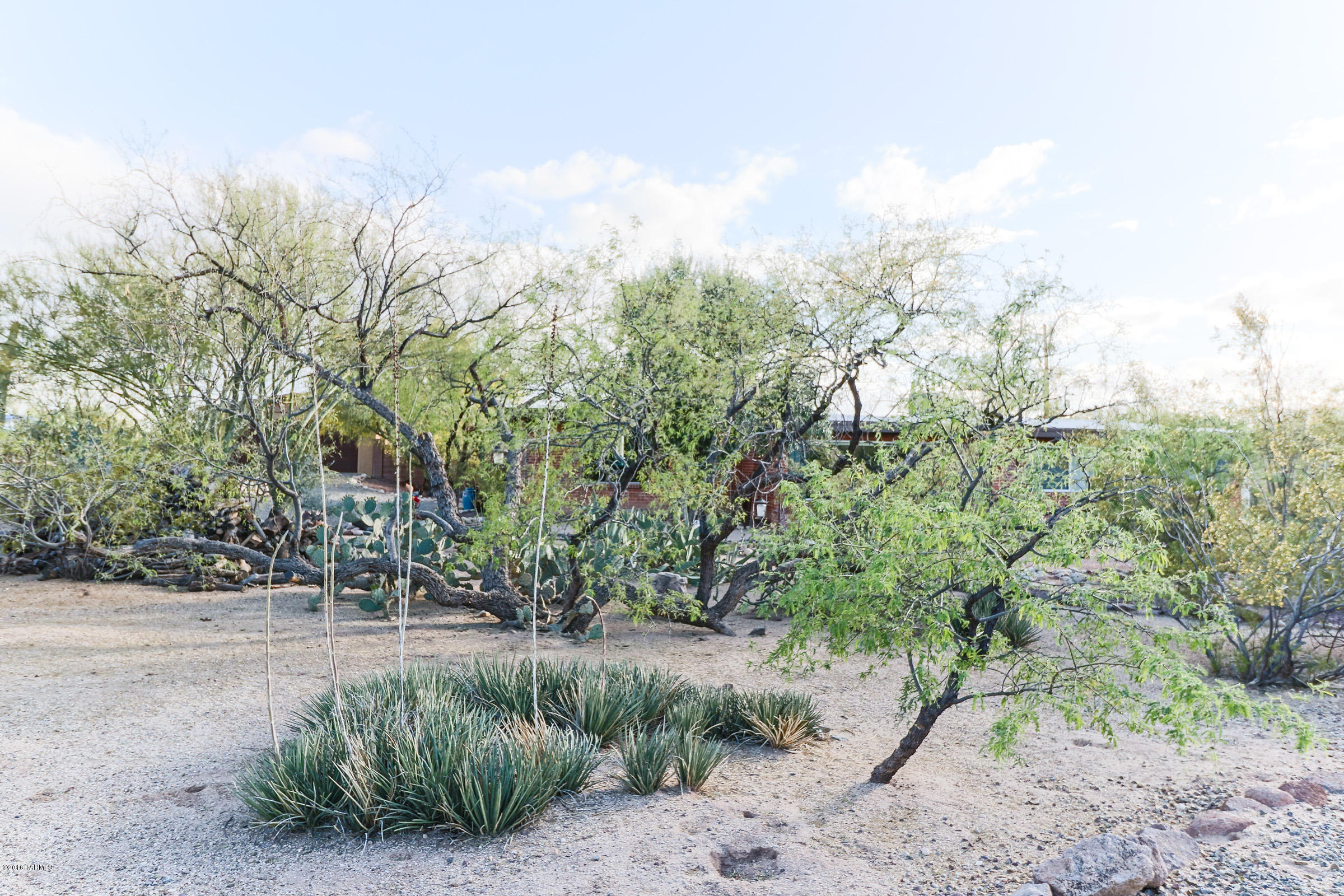 Oracle Heights Estates - Residential