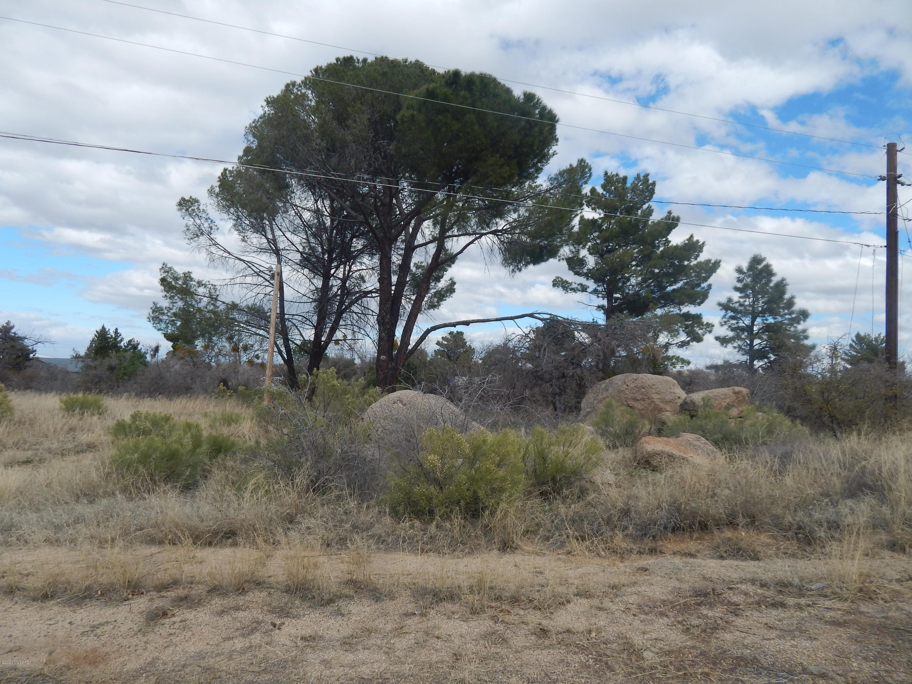 Oracle Village Estates - Land