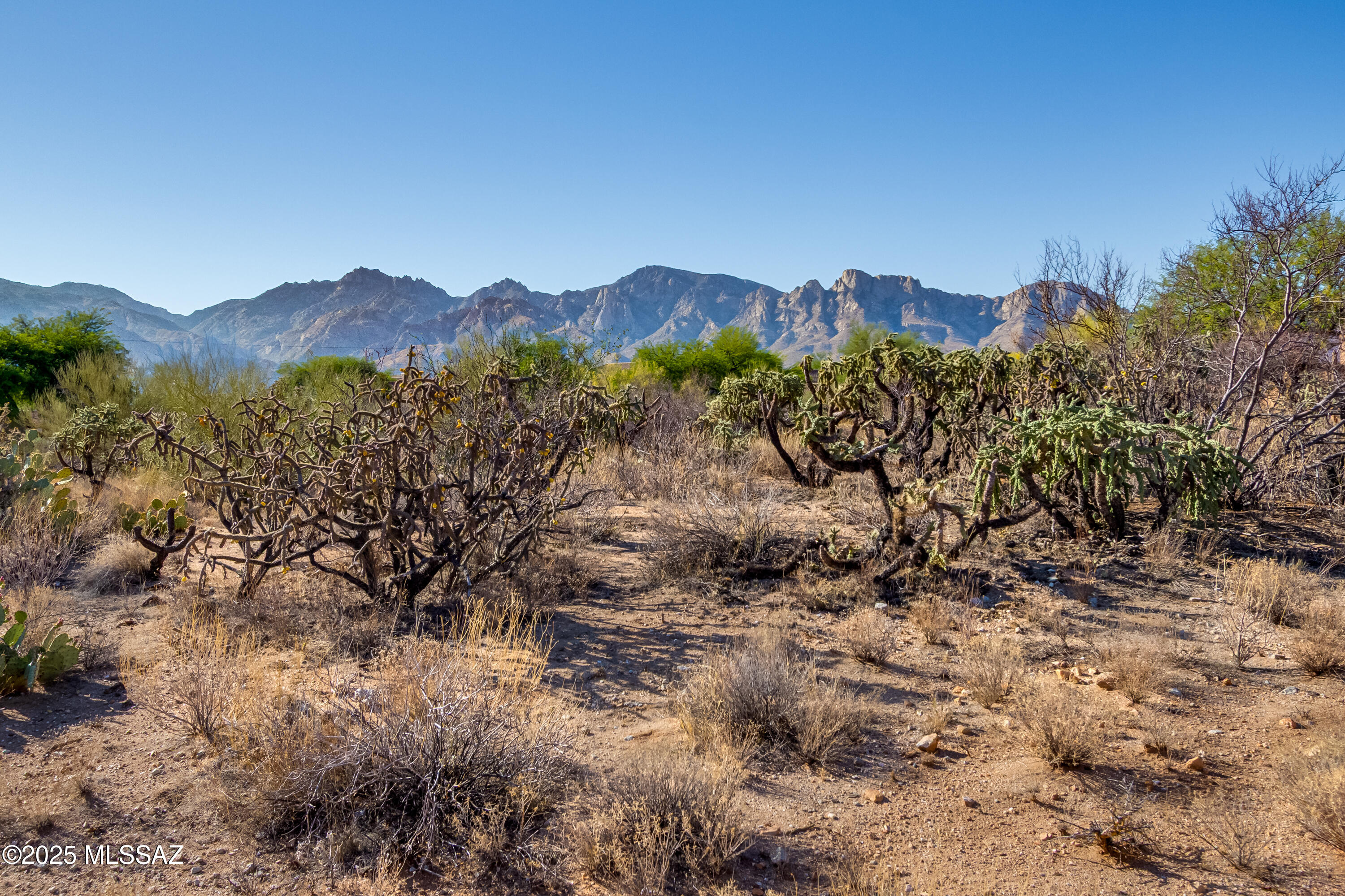 Honey Bee Ridge(The Estates At) - Land
