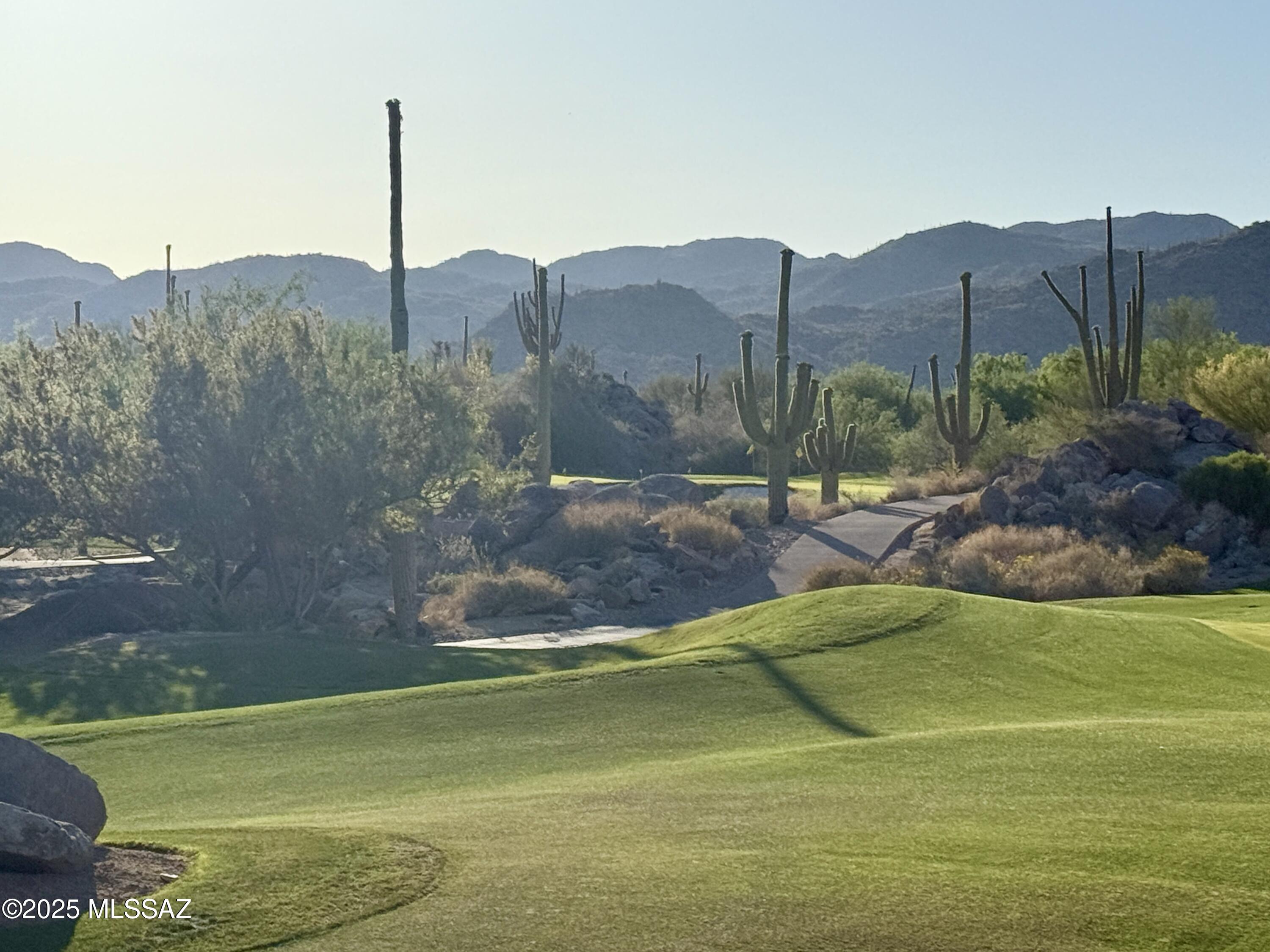 Honey Bee Ridge(The Estates At) - Land