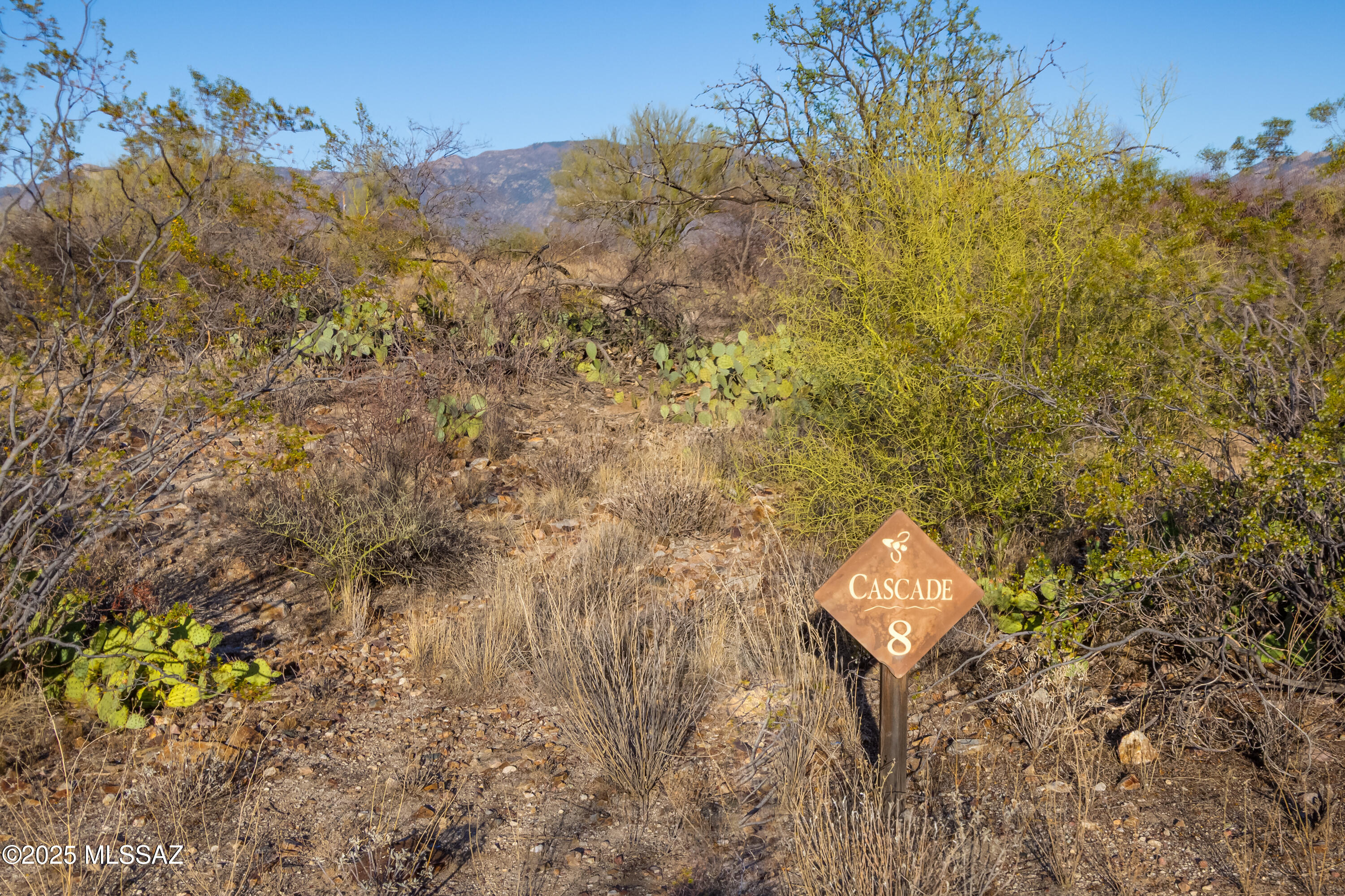 Honey Bee Ridge(The Estates At) - Land