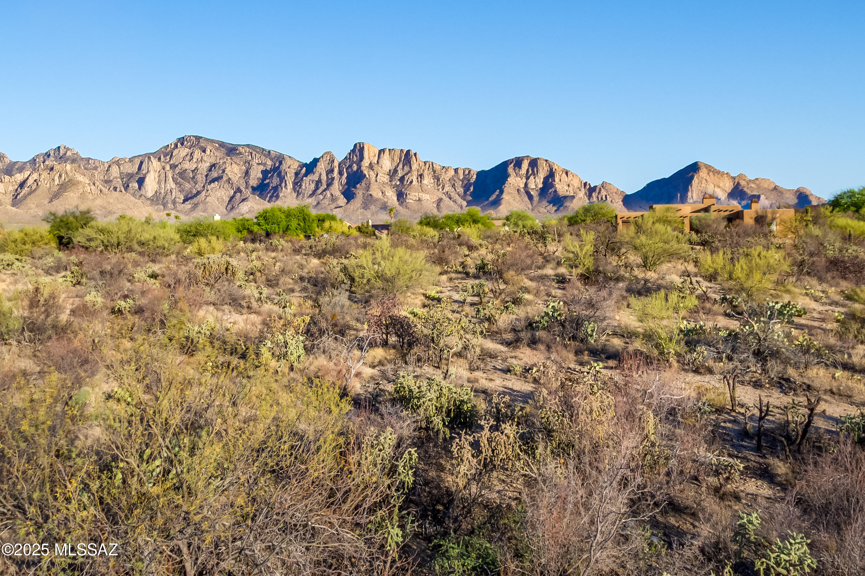 Honey Bee Ridge(The Estates At) - Land