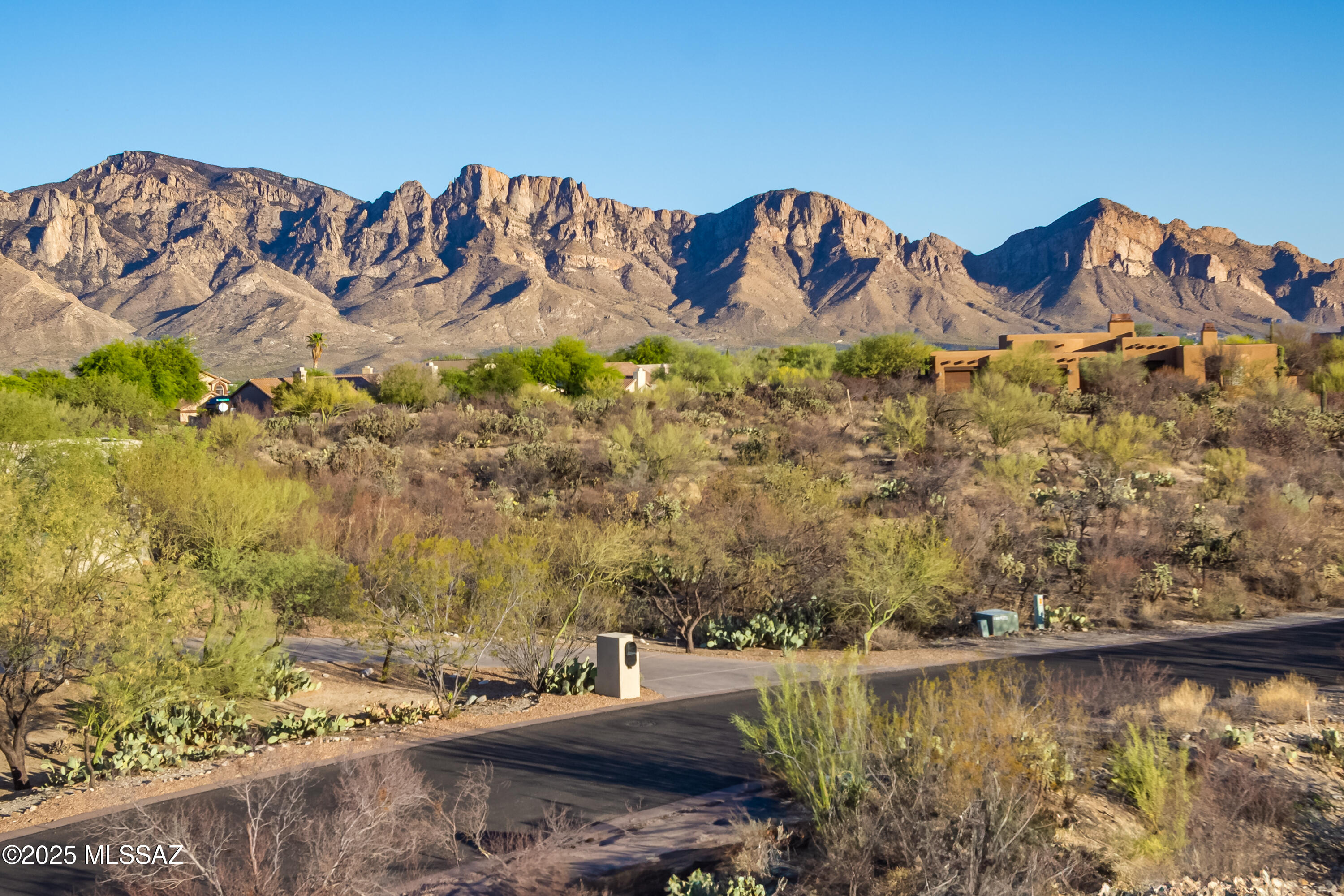Build your dream home! Situated within the prestigious guard-gated community of The Estates at Honey Bee Ridge in Rancho Vistoso, this expansive 1.2-acre elevated homesite features breathtaking views of the Catalina Mountains and Pusch Ridge. The lot is relatively flat and easy to build on with utilities conveniently located at the lot line. With just 128 custom luxury residences, The Estates at Honey Bee Ridge offers a rare combination of privacy, security and lifestyle, ideal for discerning buyers seeking exclusivity and natural beauty. Each homesite spans over an acre, set amidst the stunning Sonoran Desert landscape, and features custom homes valued between $1 million and $3 million, showcasing exceptional architecture and craftsmanship. This location offers immediate access to Honey Bee Canyon Park and nearby walking and biking trails, including The Vistoso Trails Nature Preserve with 6.2-mile, eight-foot-wide concrete path and The Loop, a 138-mile paved trail system throughout Tucson. Just minutes away, the Stone Canyon Club offers golf, fitness, and social memberships, featuring a top 100 ranked course and world-class amenities. Also nearby is Catalina State Park, perfect for hiking, birding and horseback riding. And Oro Valley Market place is just minutes away with open-air shopping, dining, Movie Theatre & on weekends evenings of live local music. This is more than a lot, it's a lifestyle. A rare opportunity to build your dream home in one of Oro Valley's most desirable communities with a prime location, endless desert views and exceptional lifestyle amenities.