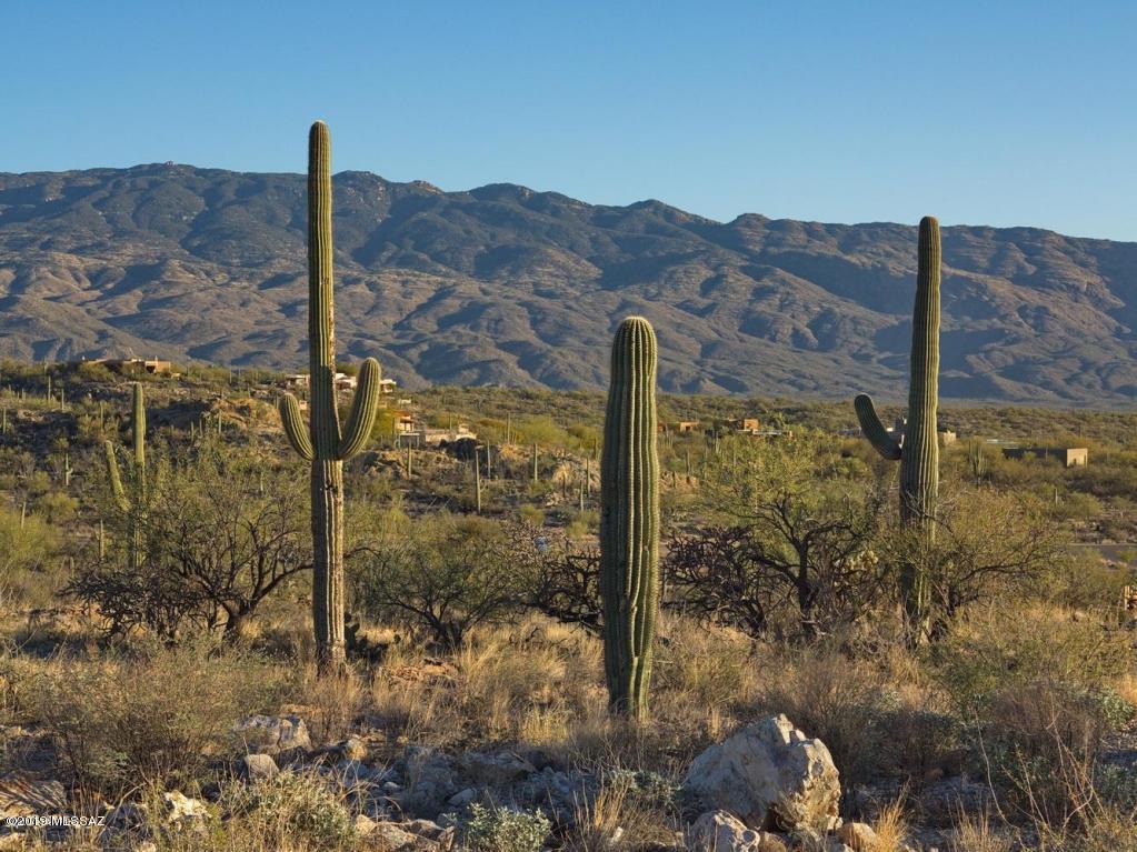 Palo Verde Ranch - Land