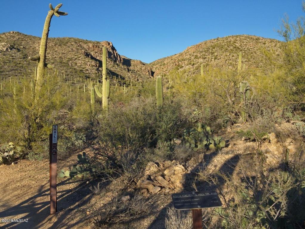 Palo Verde Ranch - Land