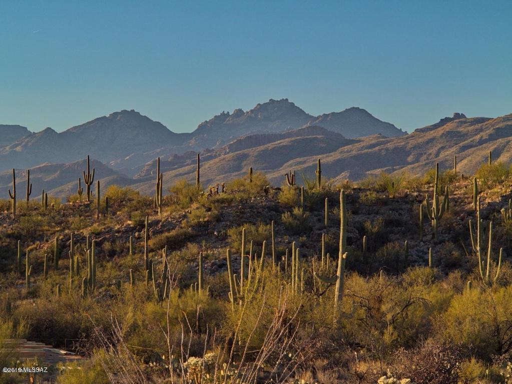 Palo Verde Ranch - Land