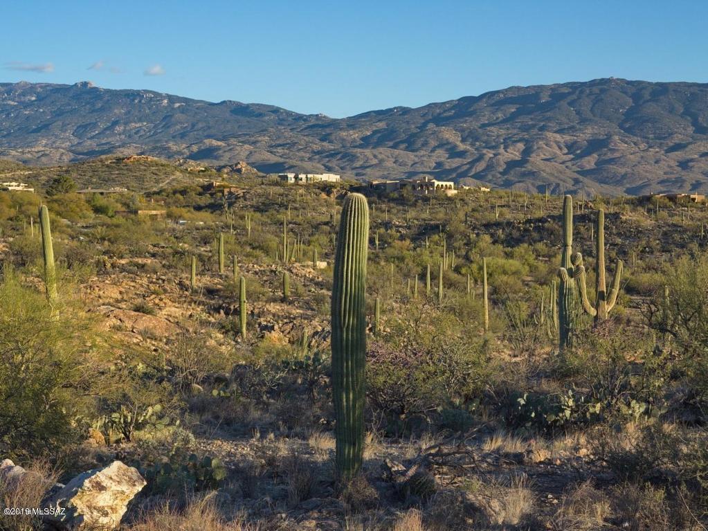 Palo Verde Ranch - Land