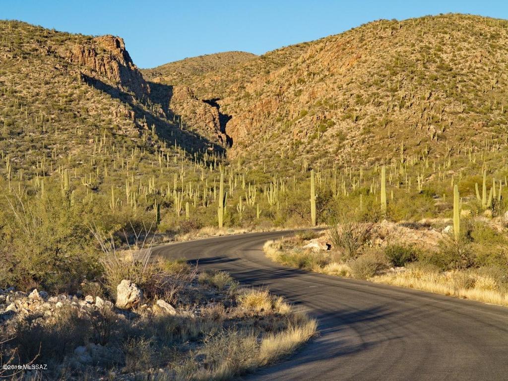 Palo Verde Ranch - Land