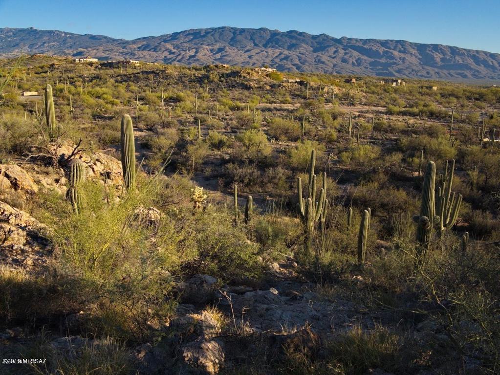 Palo Verde Ranch - Land