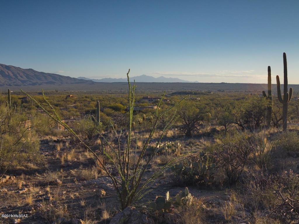 Palo Verde Ranch - Land
