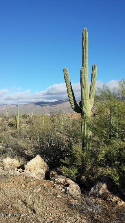 Palo Verde Ranch - Land