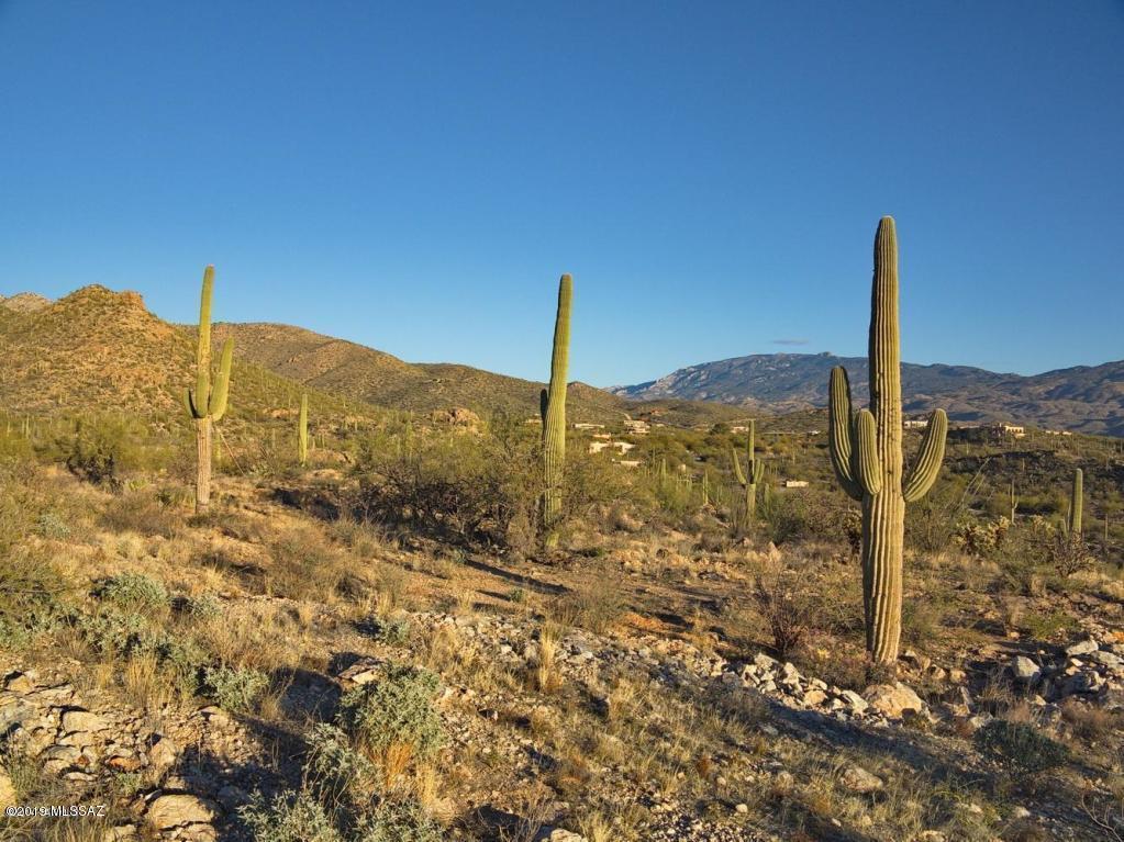 Palo Verde Ranch - Land