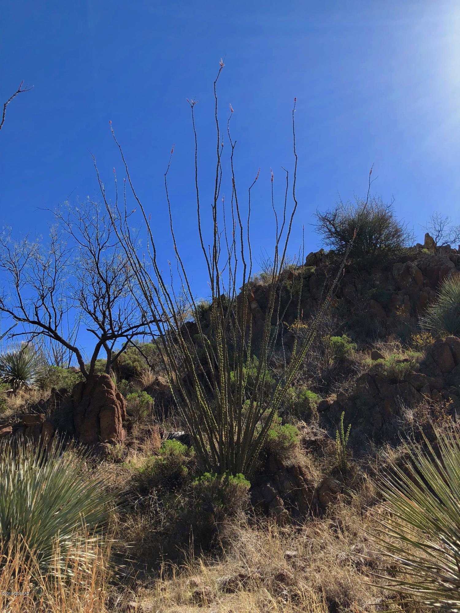 Salero Ranch - Land