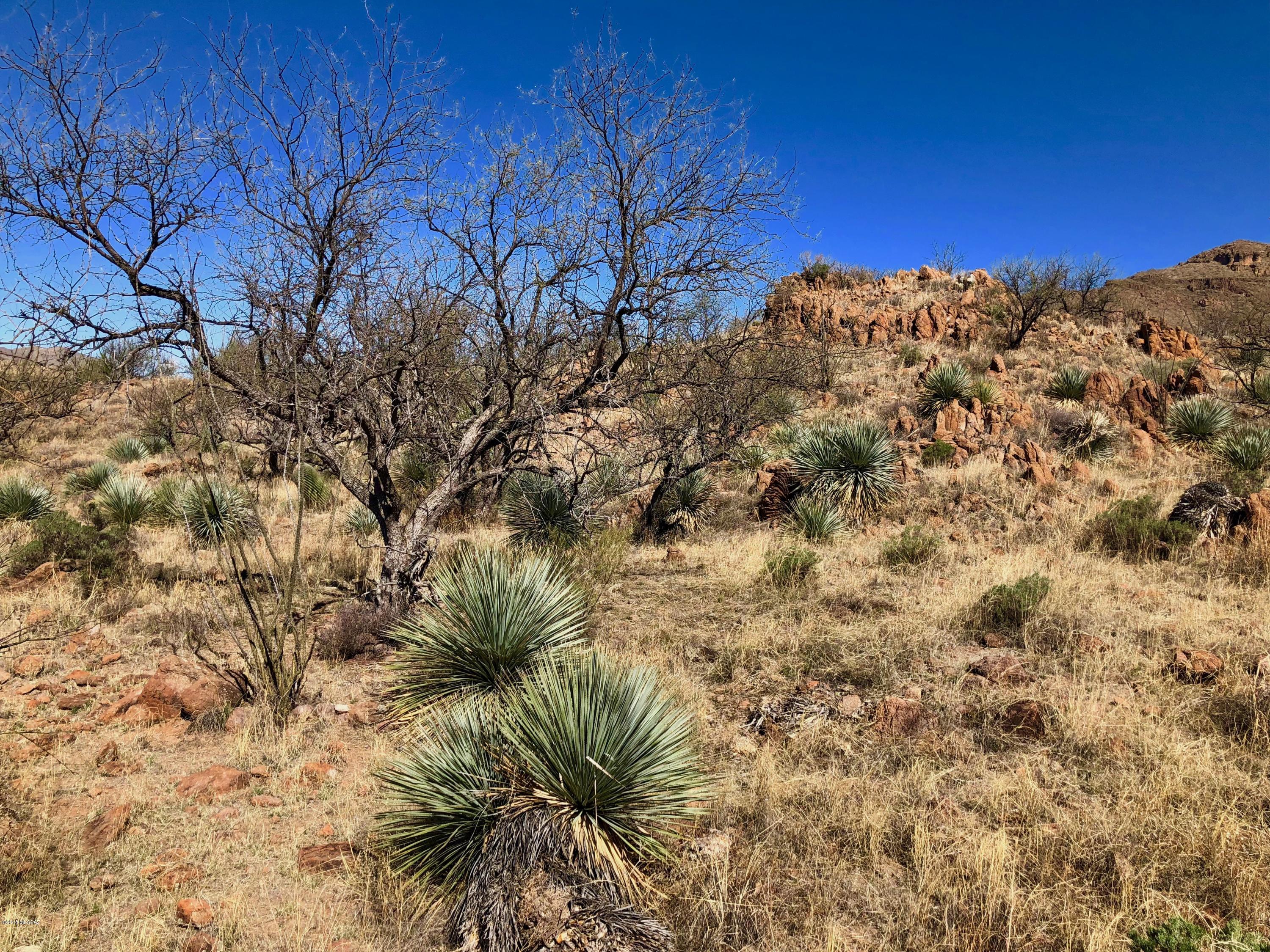 Salero Ranch - Land