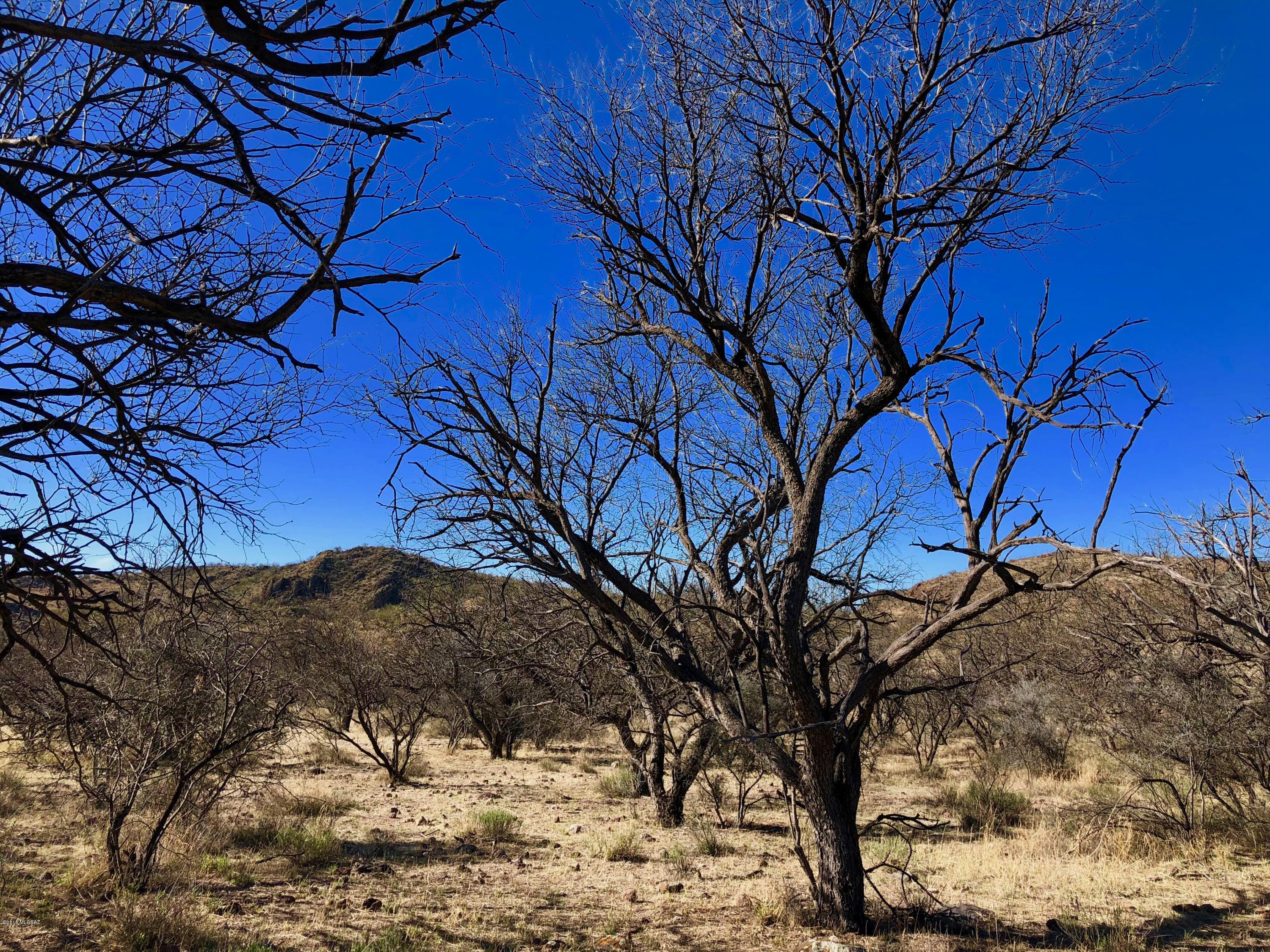 Salero Ranch - Land