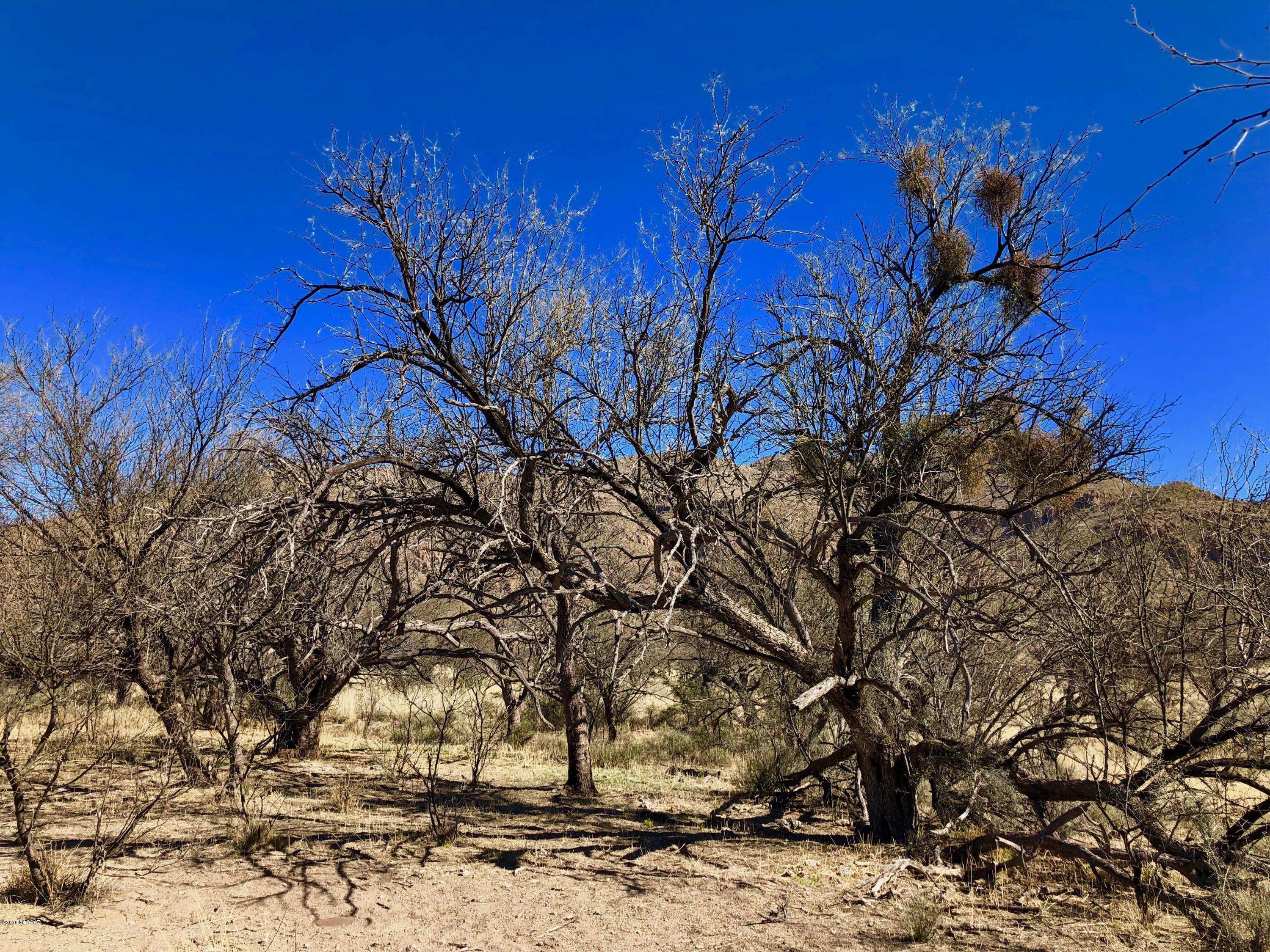 Salero Ranch - Land
