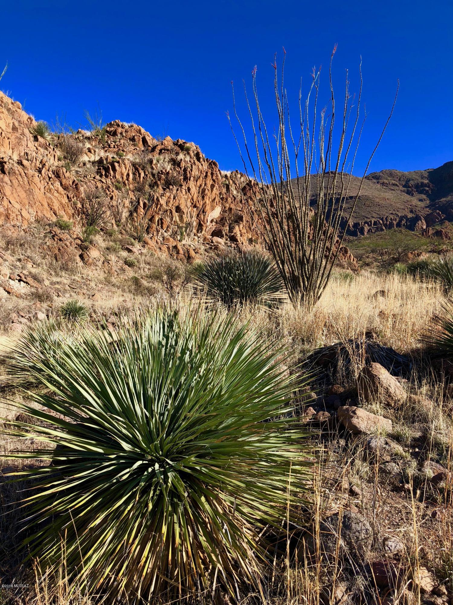 Salero Ranch - Land