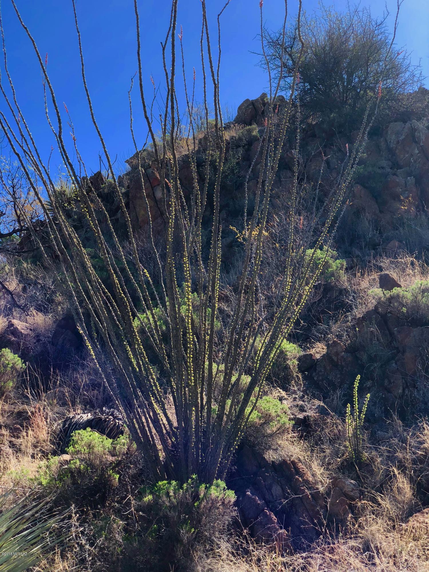 Salero Ranch - Land