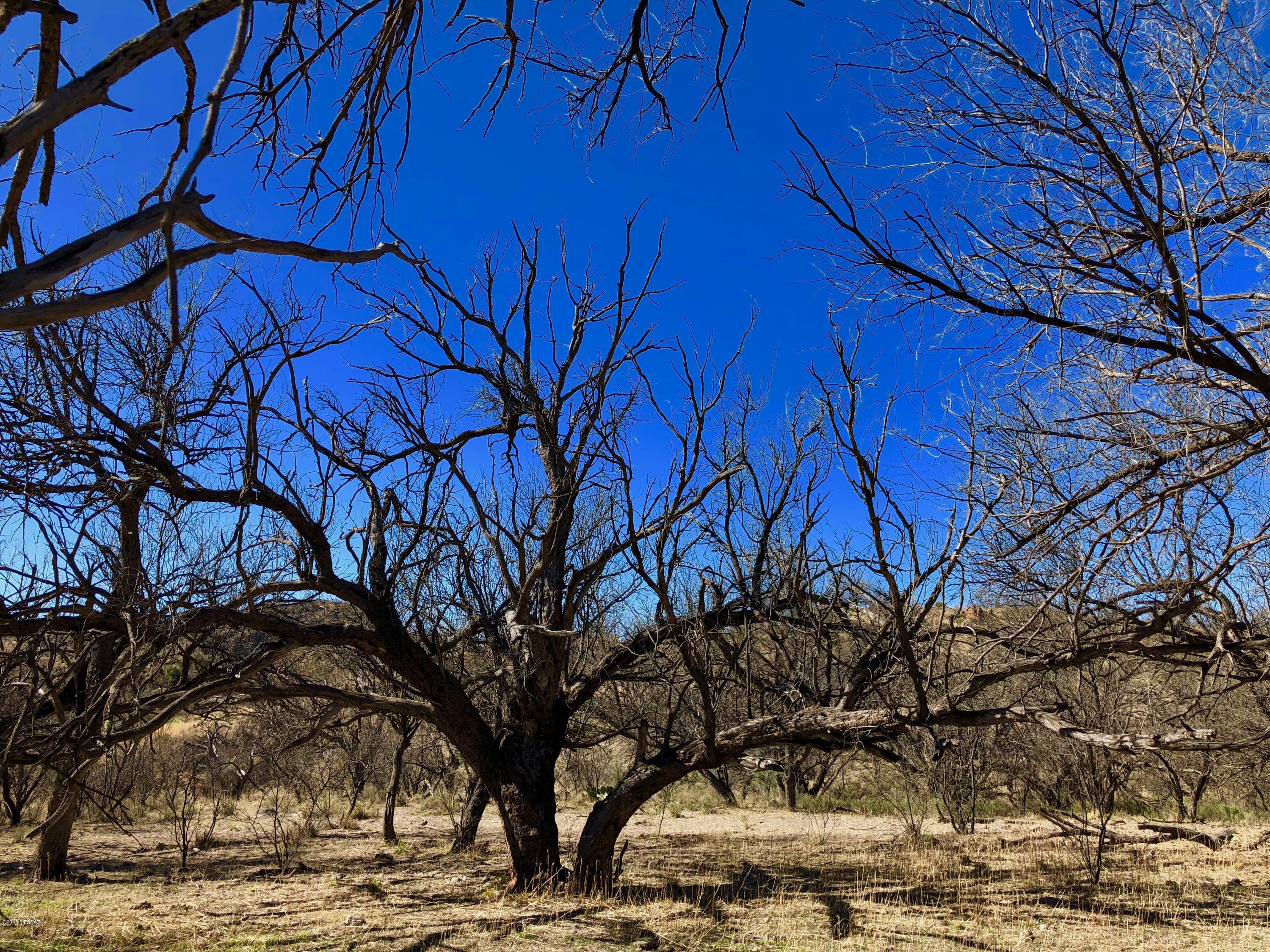 Salero Ranch - Land