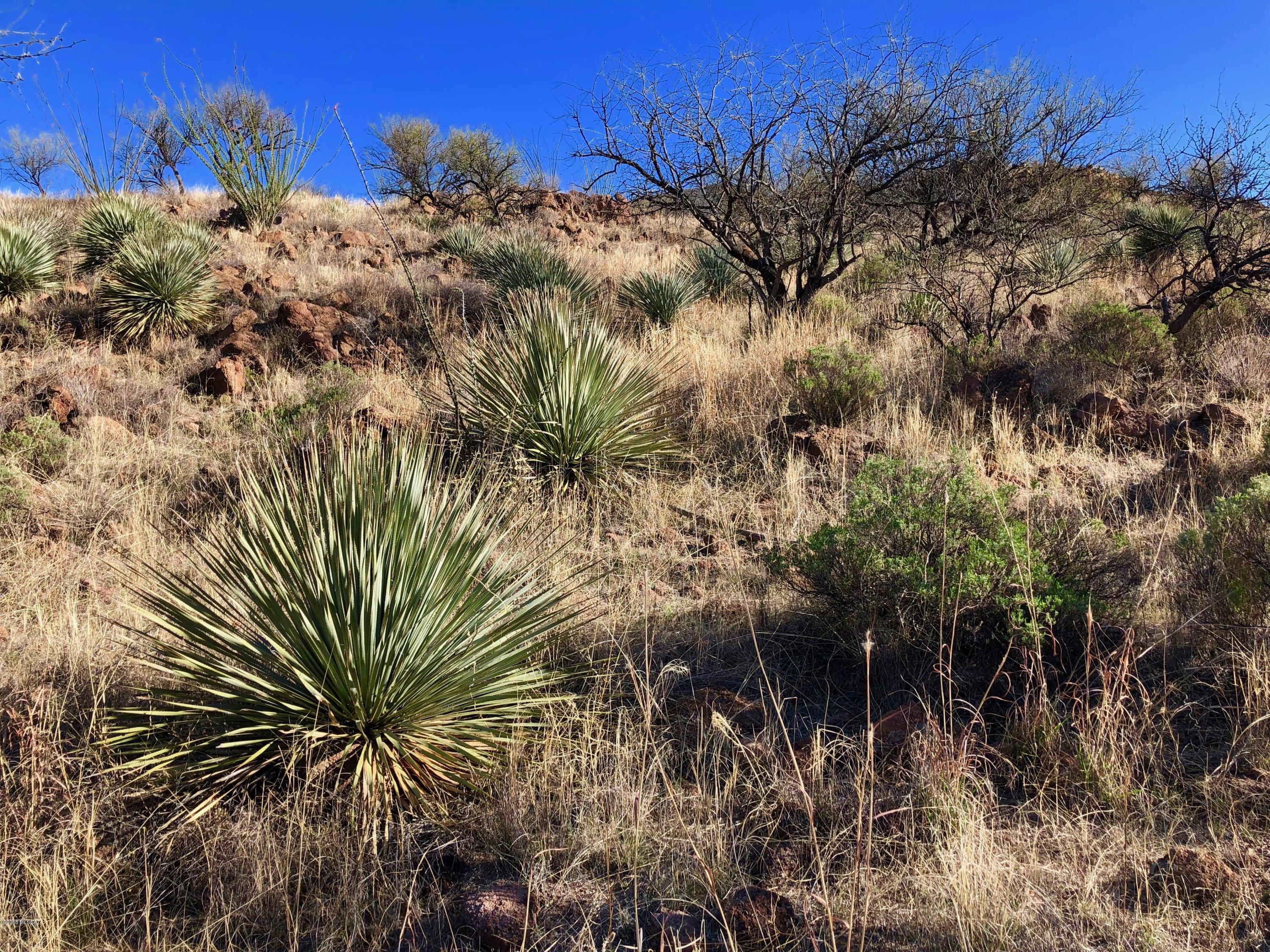 Salero Ranch - Land