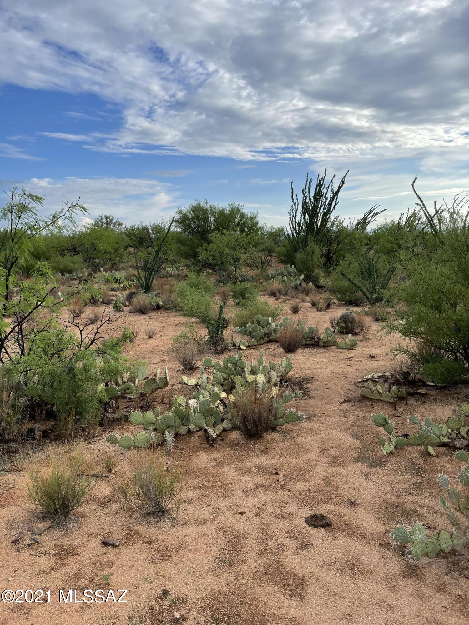 Diamond Bell Ranch - Tucson Unit 13 (1-216) - Land
