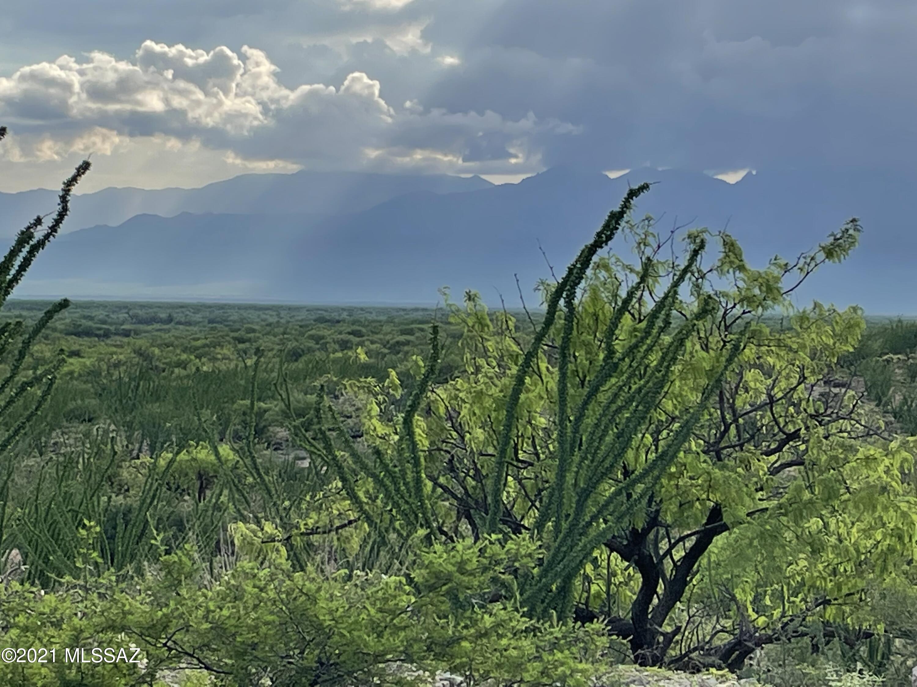 Diamond Bell Ranch - Tucson Unit 13 (1-216) - Land