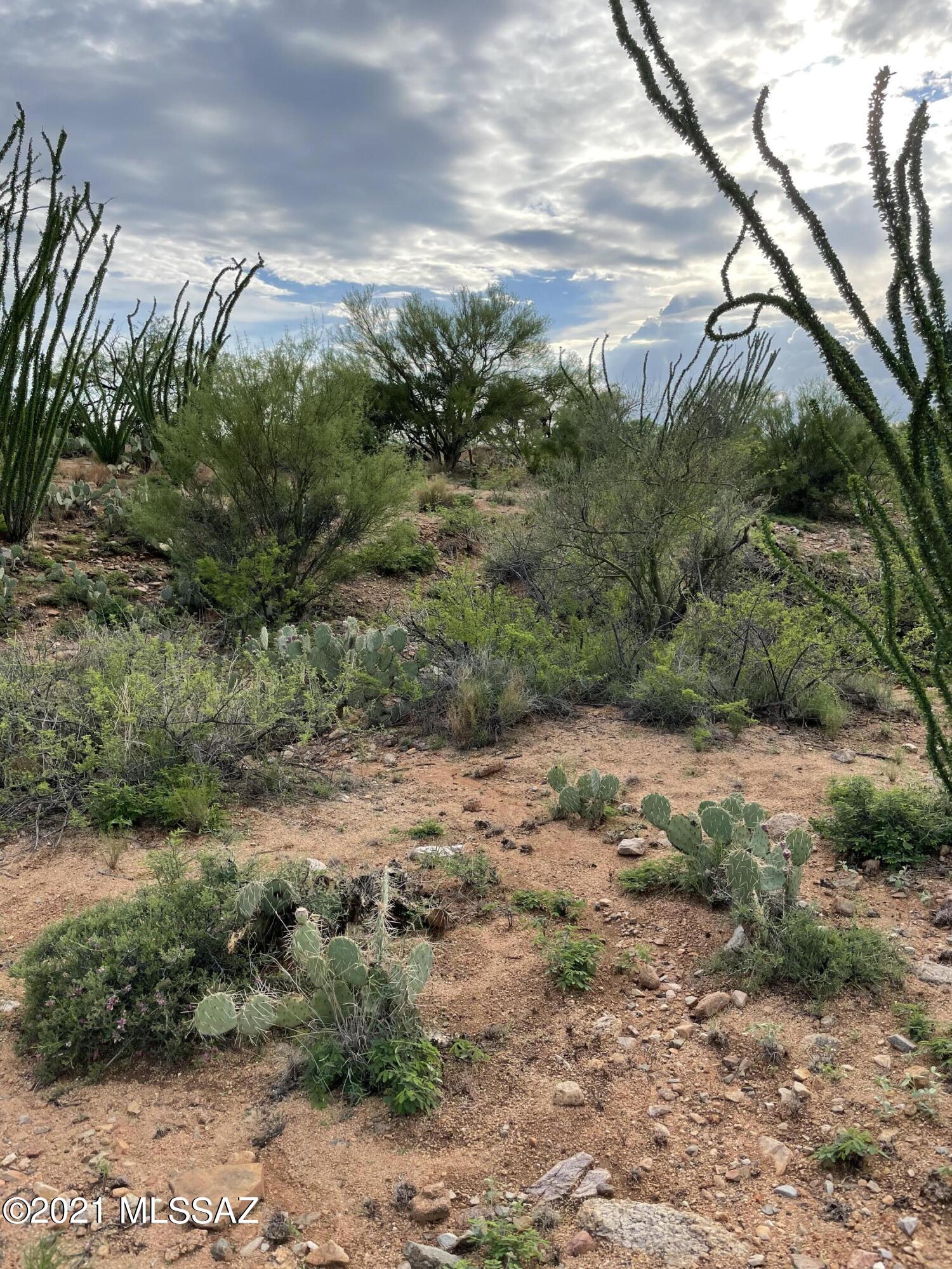 Diamond Bell Ranch - Tucson Unit 13 (1-216) - Land
