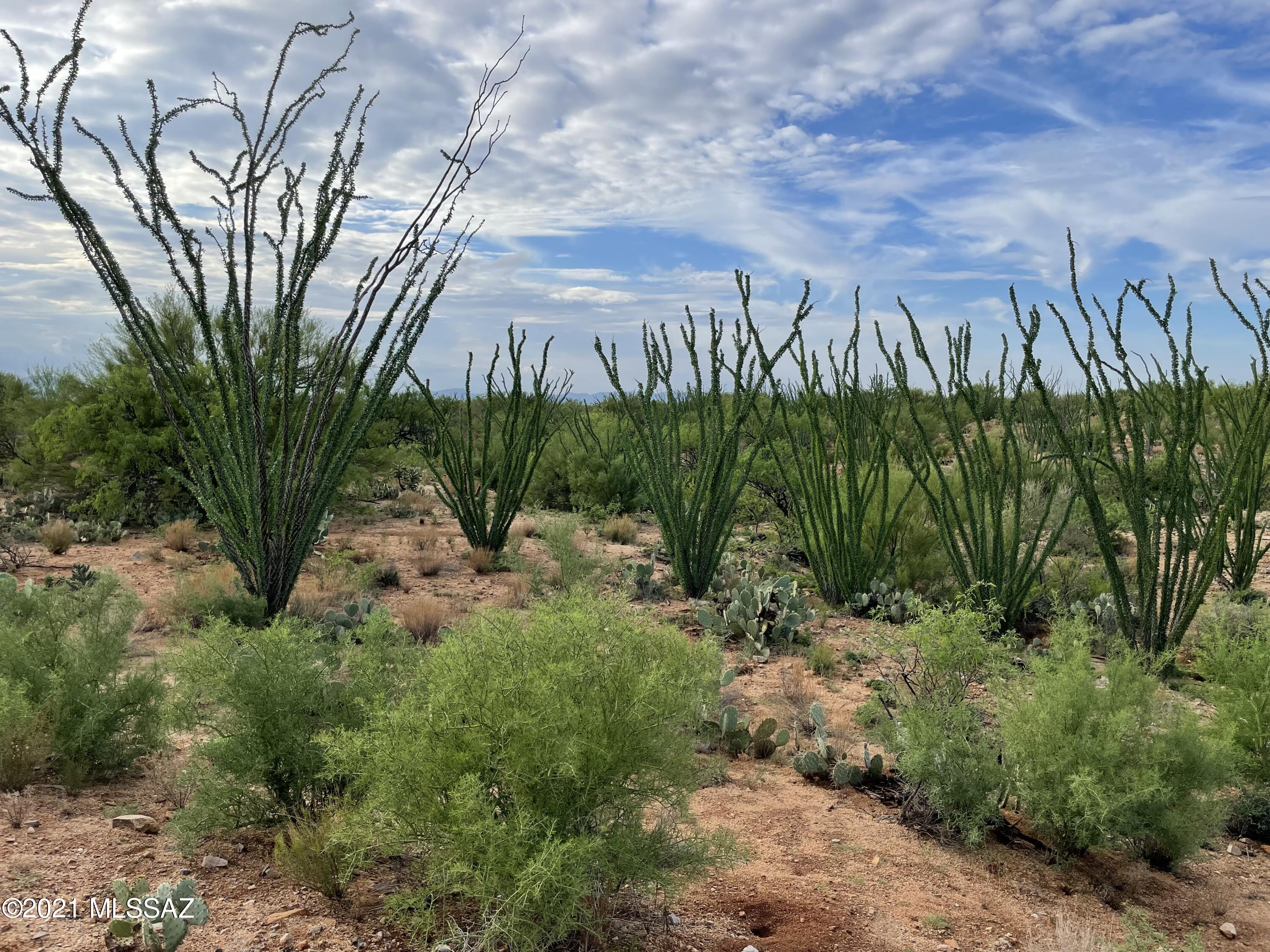 Diamond Bell Ranch - Tucson Unit 13 (1-216) - Land