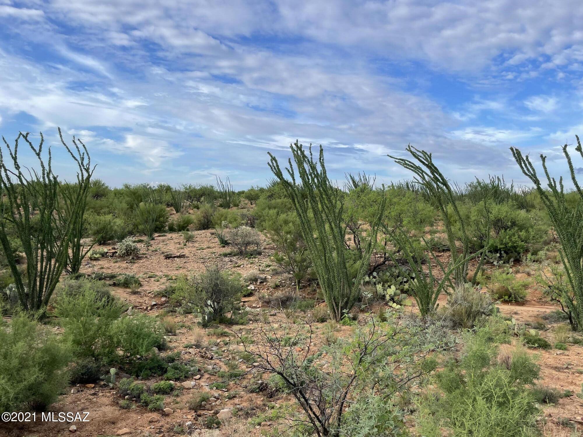Diamond Bell Ranch - Tucson Unit 13 (1-216) - Land